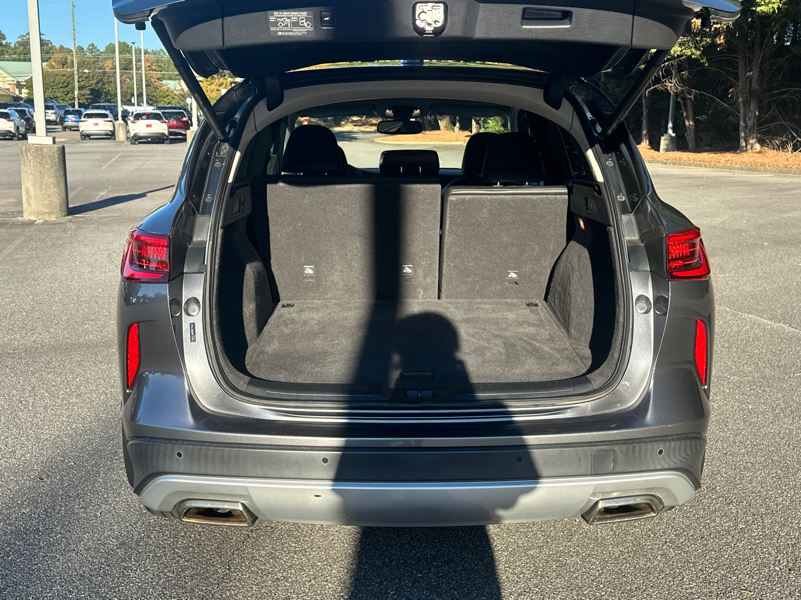 2021 INFINITI QX50 LUXE 18