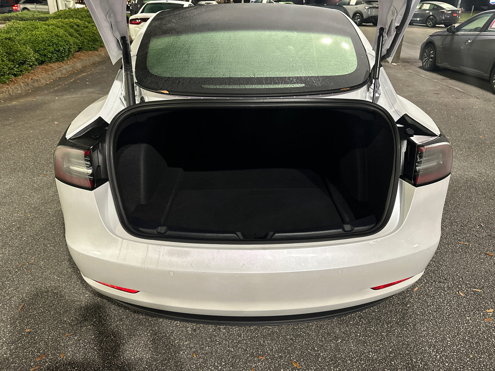 2021 Tesla Model 3 Standard Range Plus 18