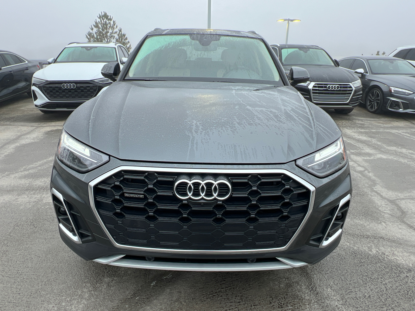 2024 Audi Q5 S line Premium Plus 2