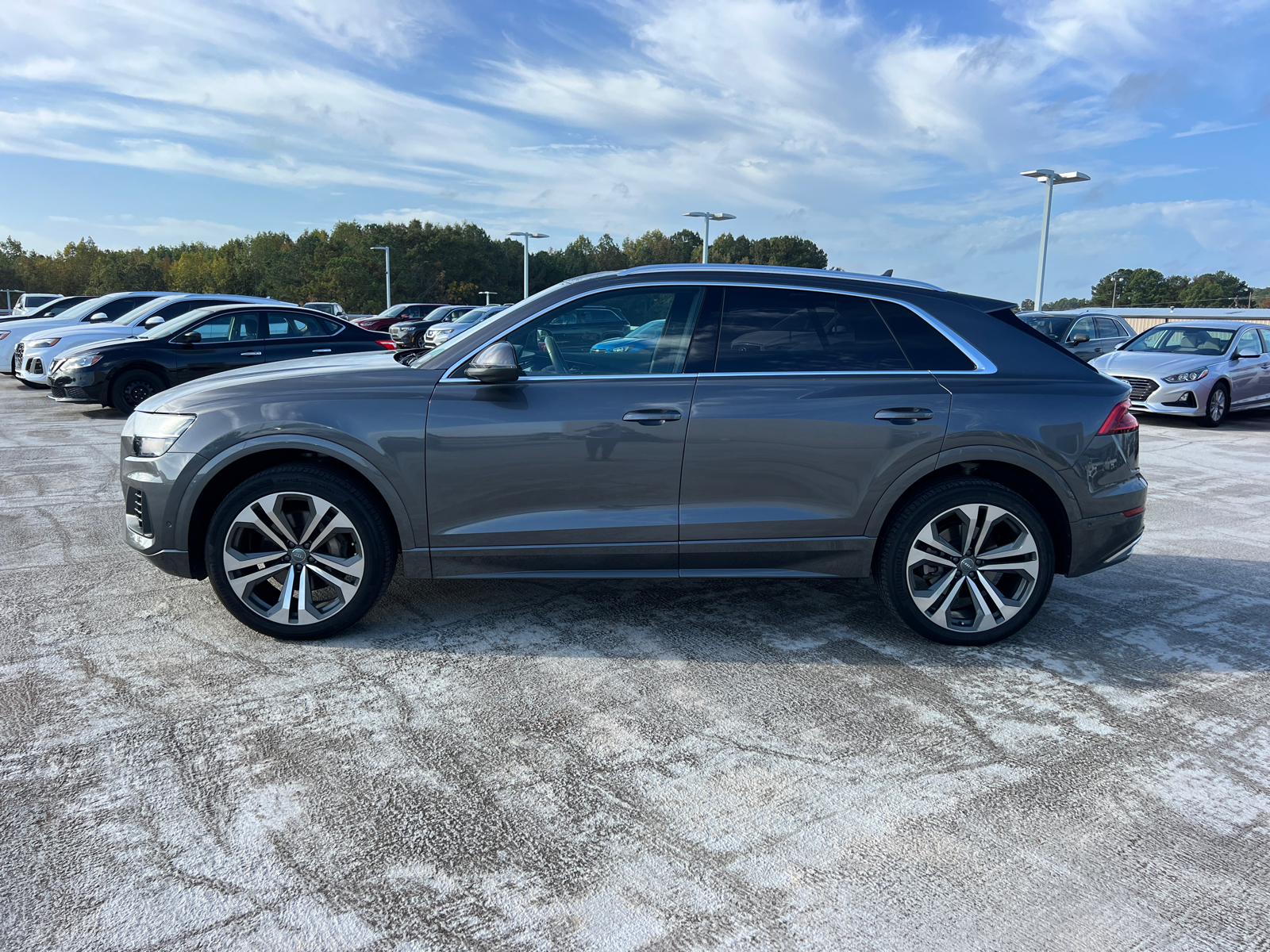 2020 Audi Q8 Prestige 8