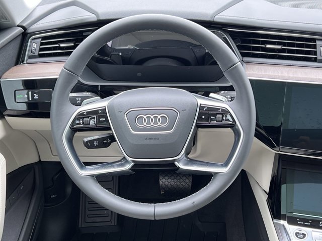 2024 Audi Q8 e-tron Prestige 17