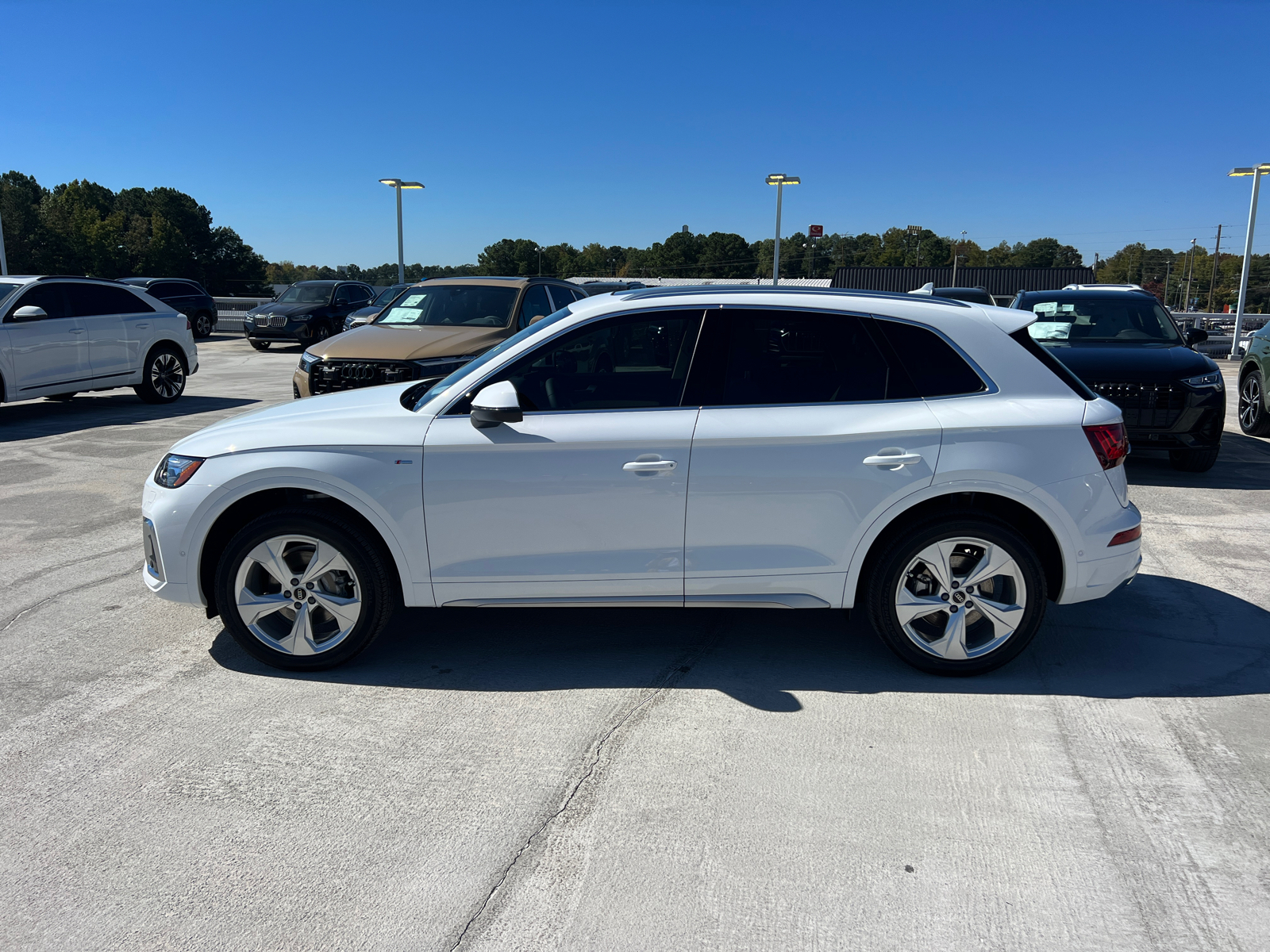 2025 Audi Q5 S line Prestige 8