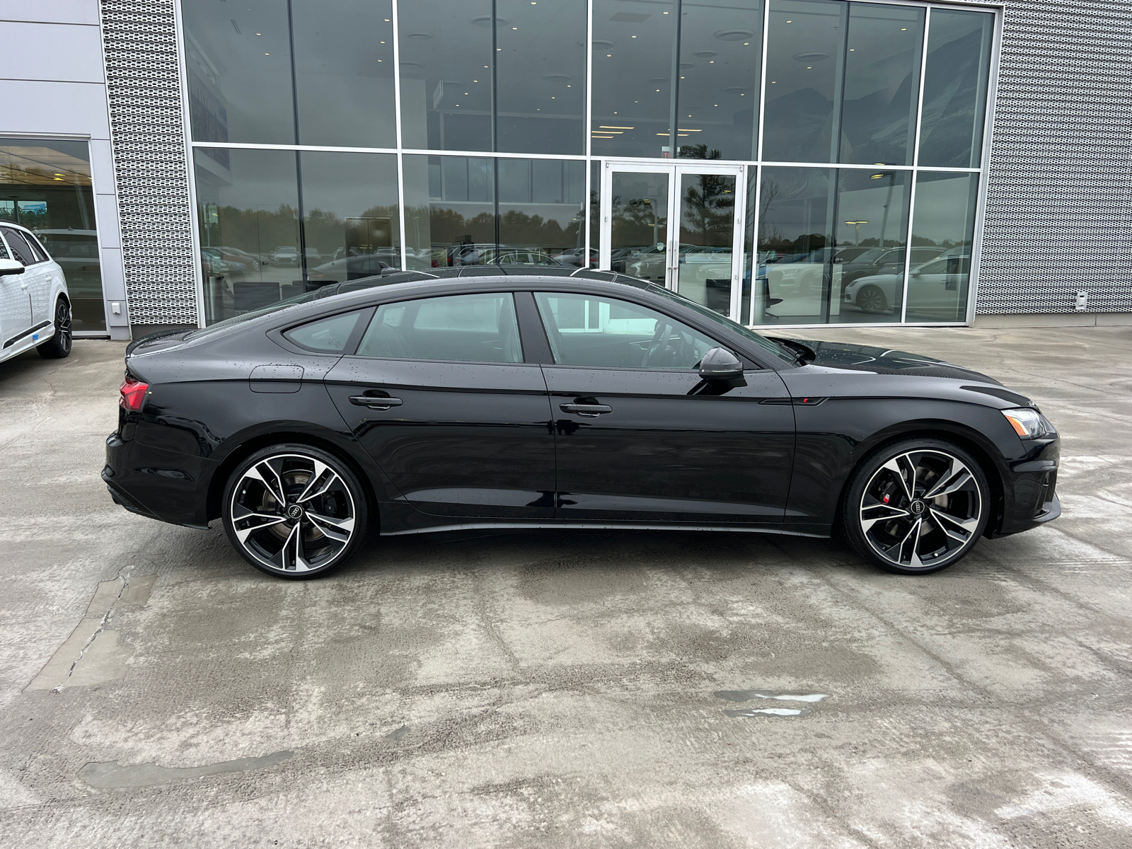 2025 Audi S5 Sportback Premium Plus 4