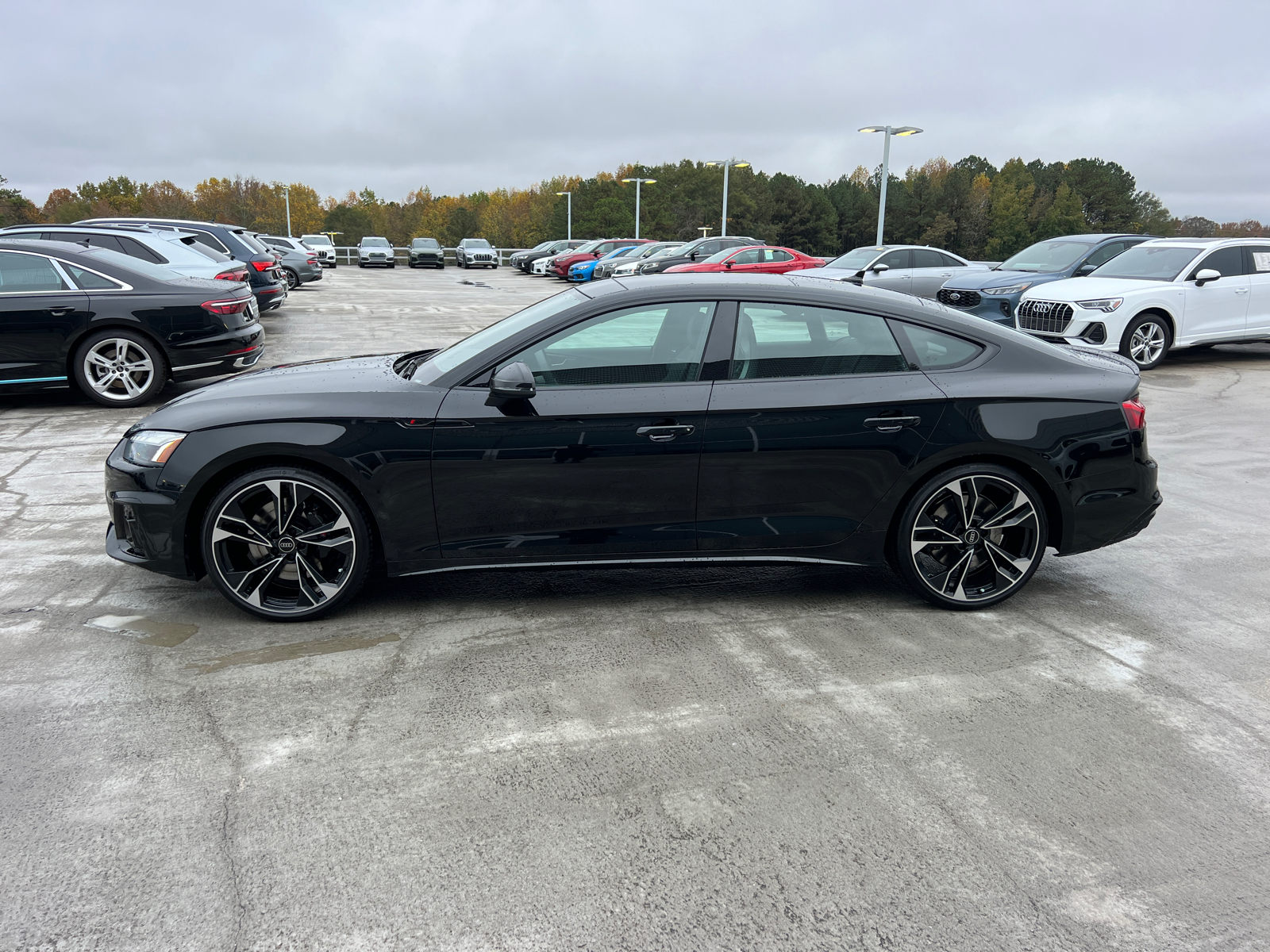 2025 Audi S5 Sportback Premium Plus 8