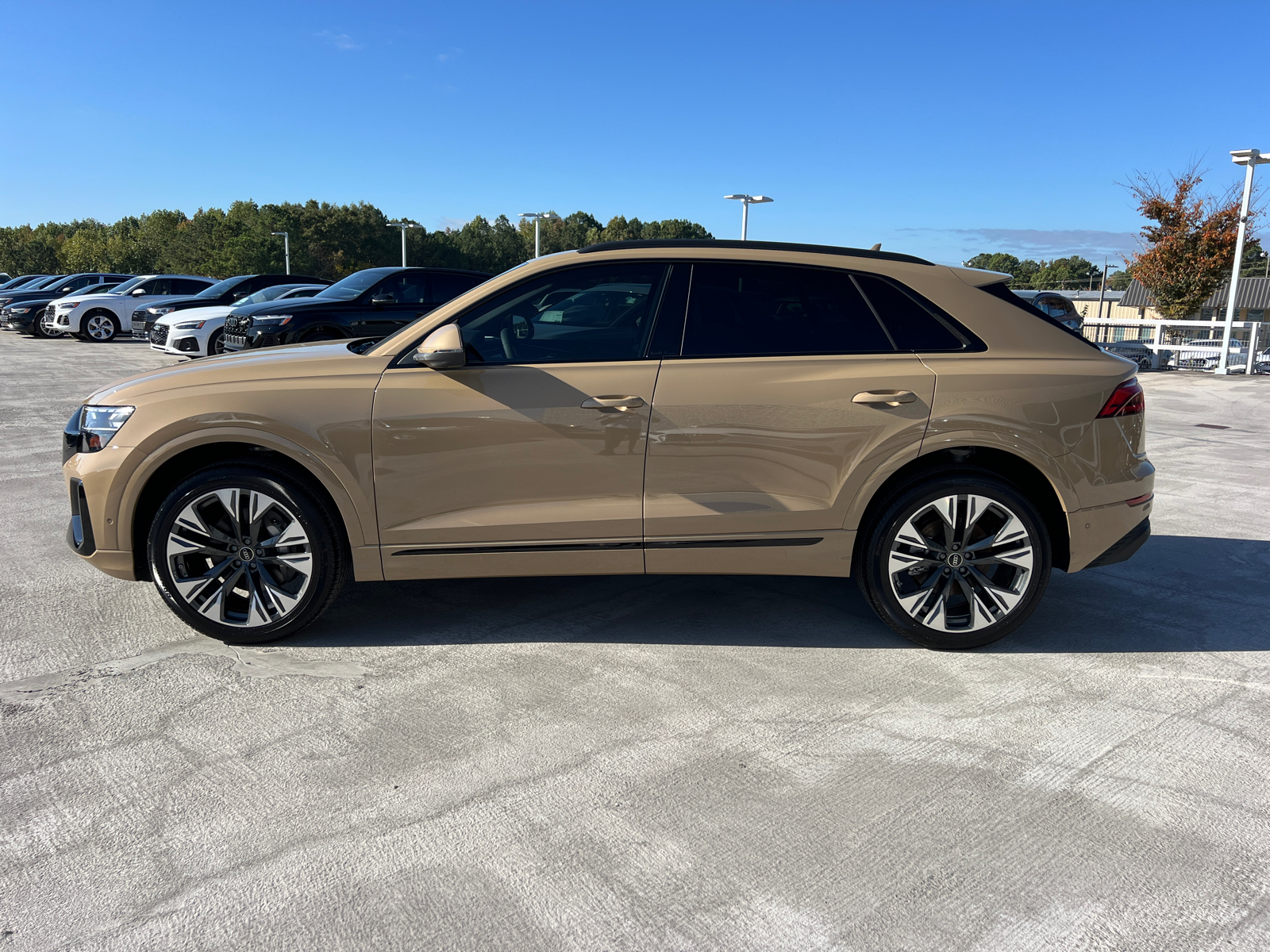 2025 Audi Q8 Premium 8