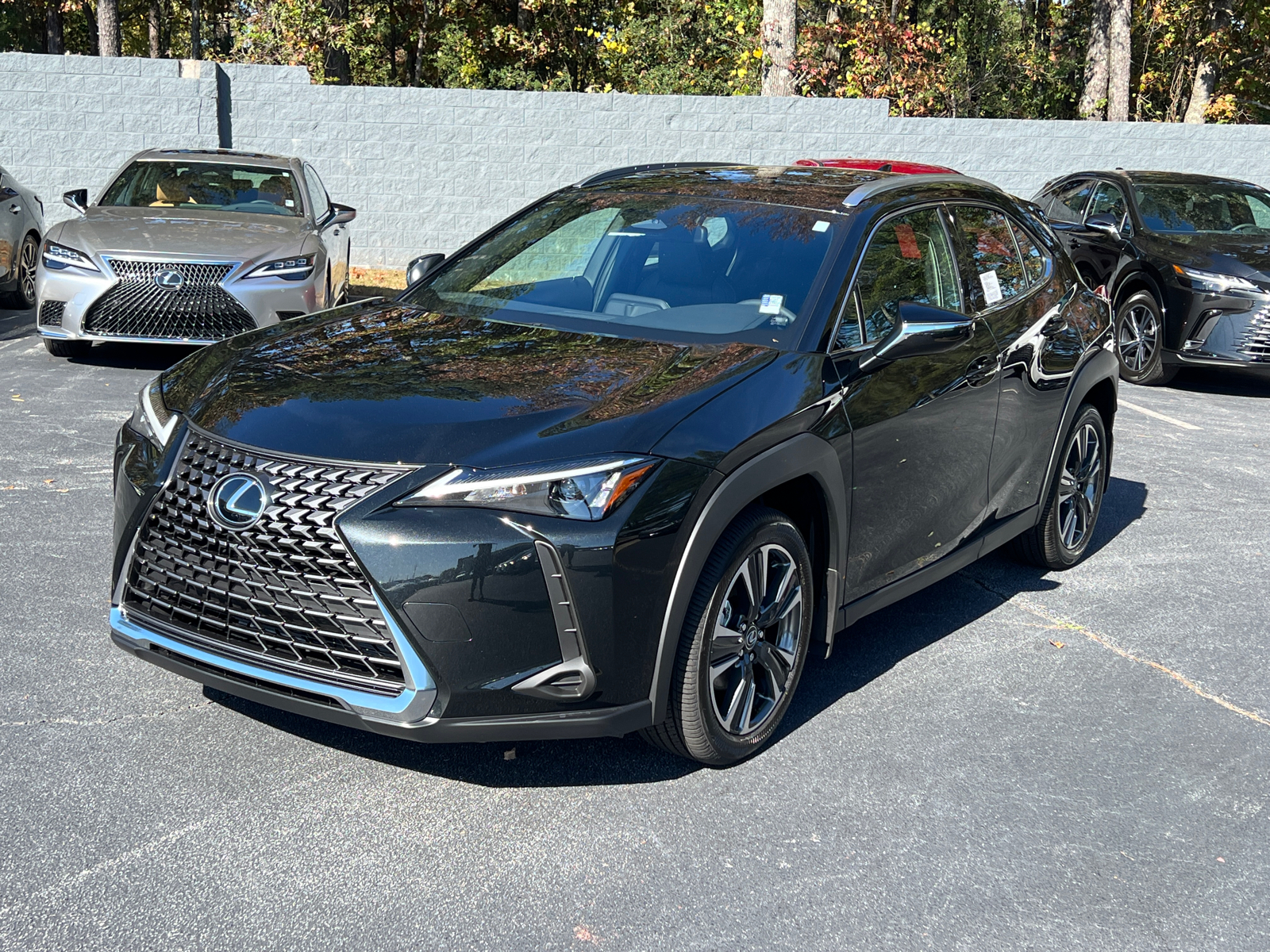 2025 Lexus UX UX 300h 2