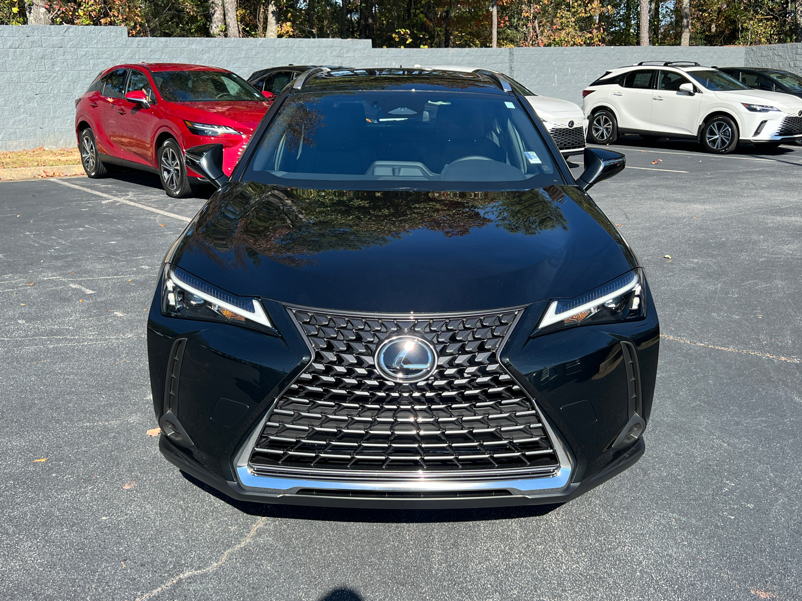 2025 Lexus UX UX 300h 3