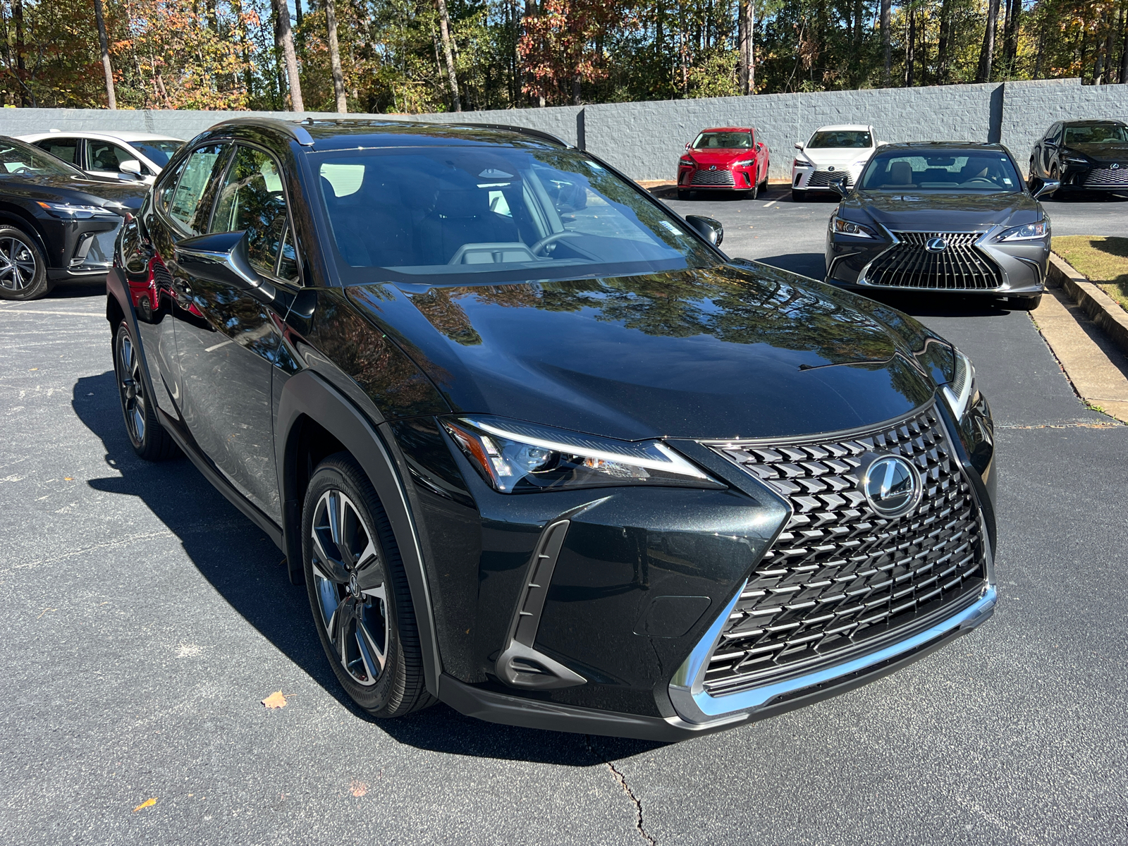 2025 Lexus UX UX 300h 4