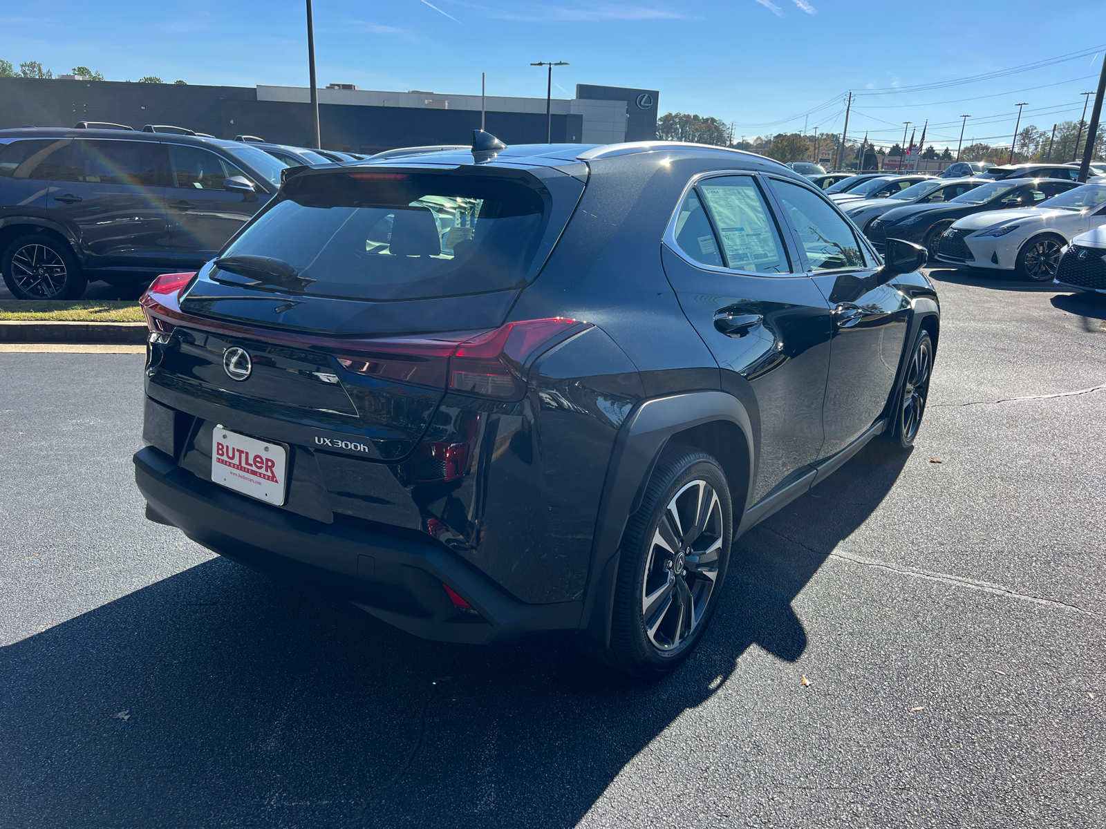 2025 Lexus UX UX 300h 6