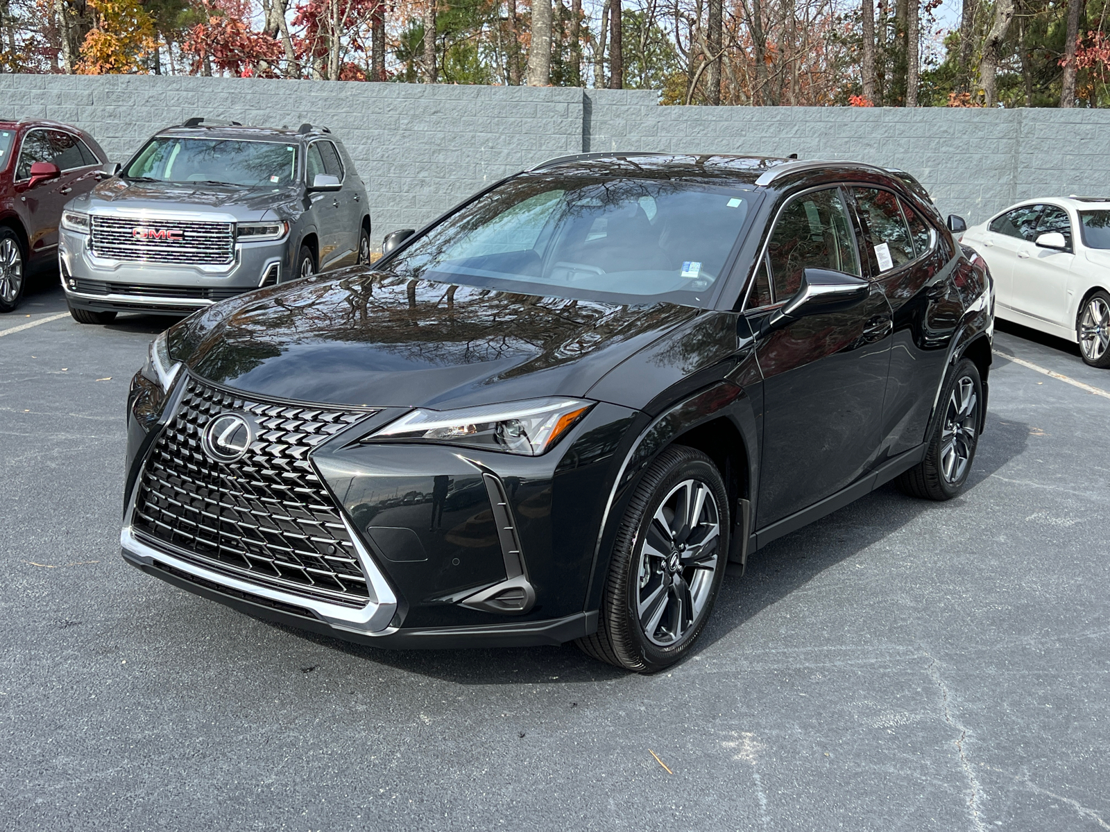 2025 Lexus UX UX 300h Premium 2