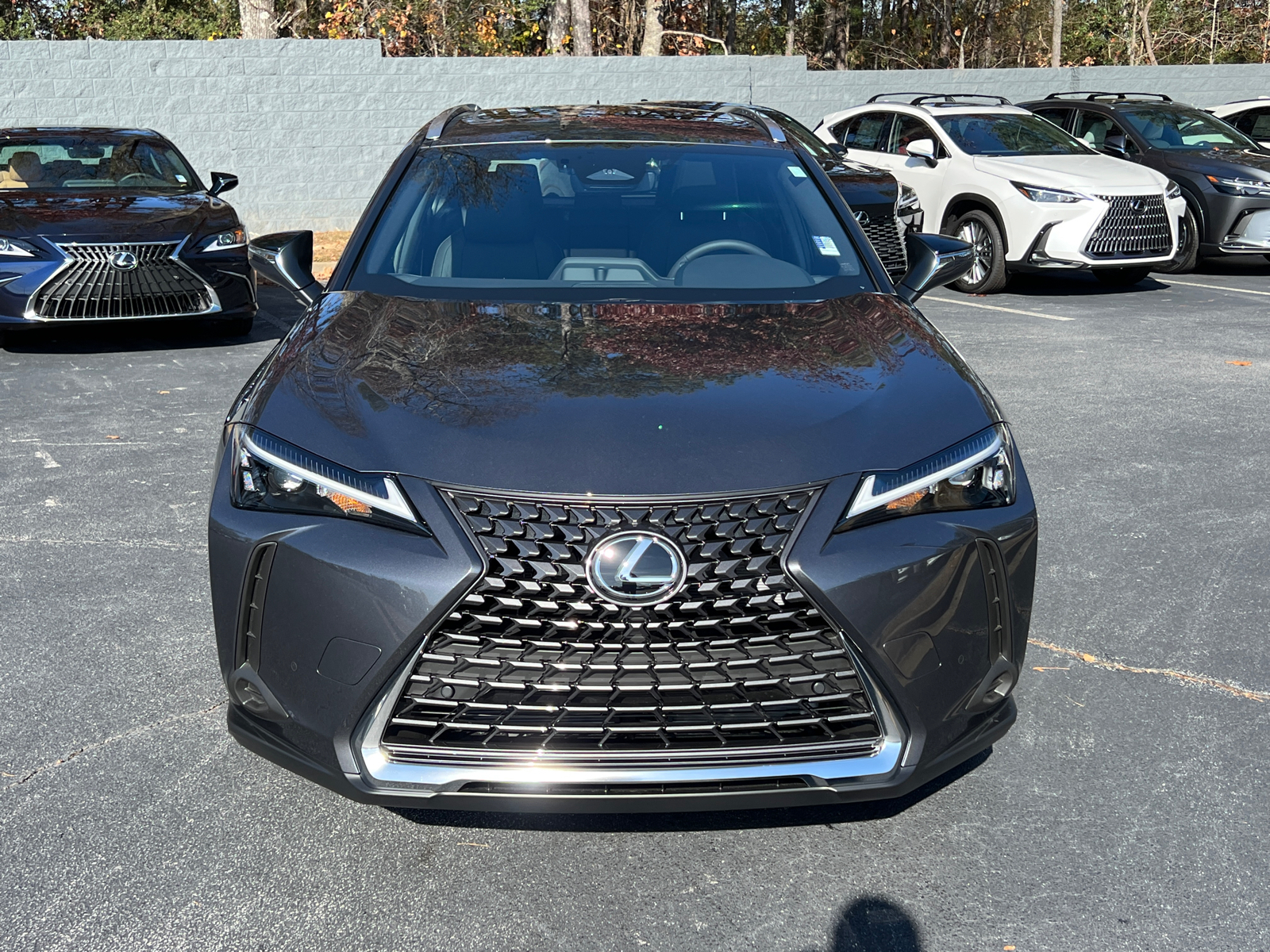 2025 Lexus UX UX 300h Premium 3