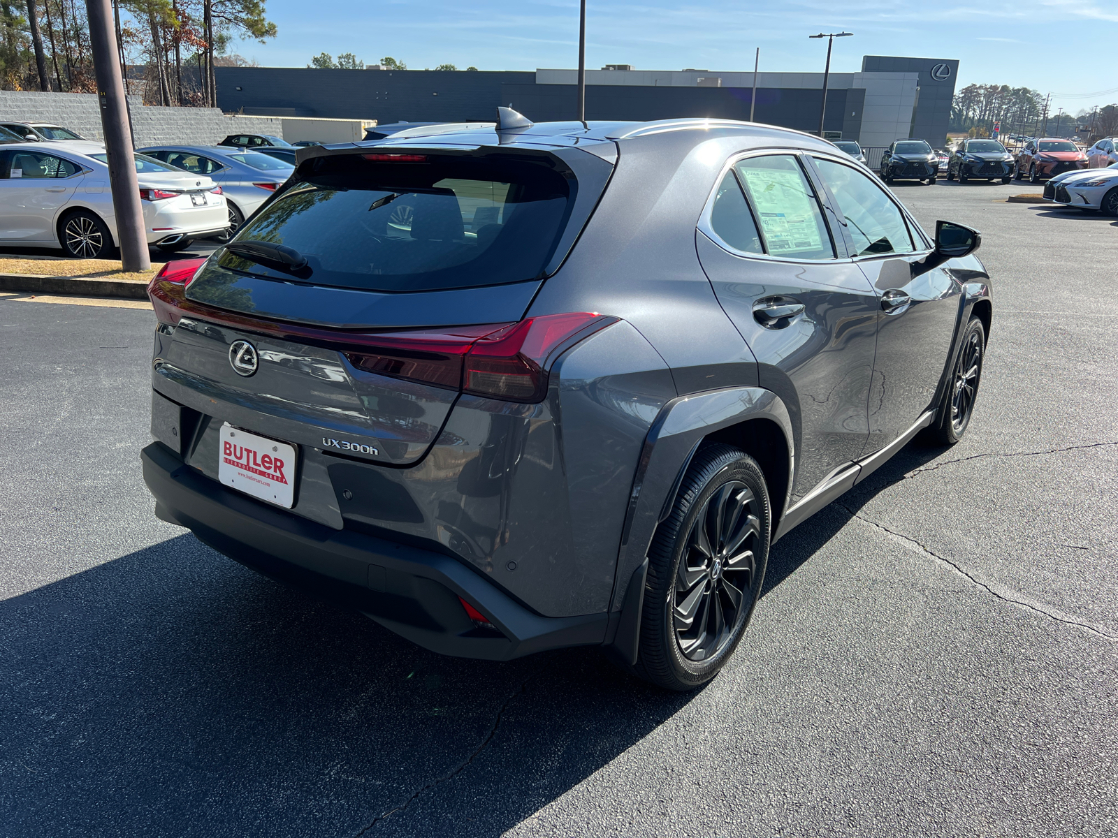 2025 Lexus UX UX 300h Premium 6