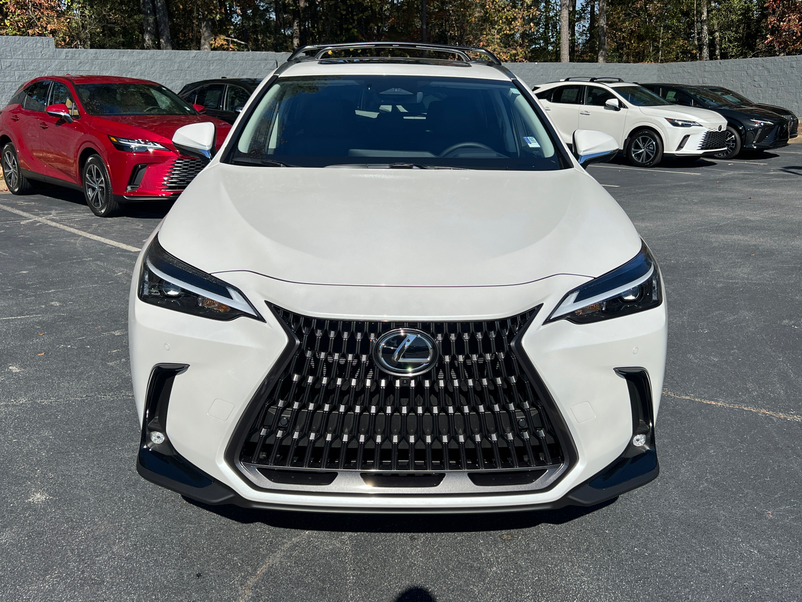 2025 Lexus NX NX 350 Premium 3