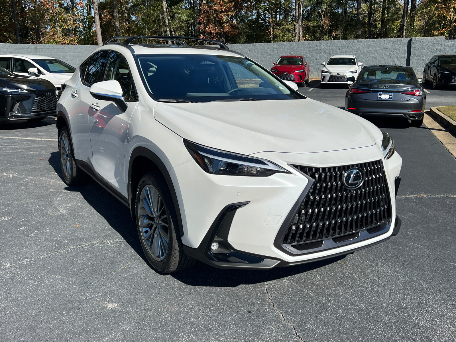 2025 Lexus NX NX 350 Premium 4