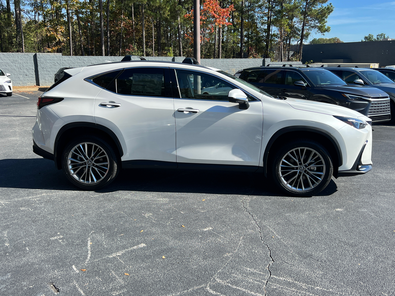 2025 Lexus NX NX 350 Premium 5