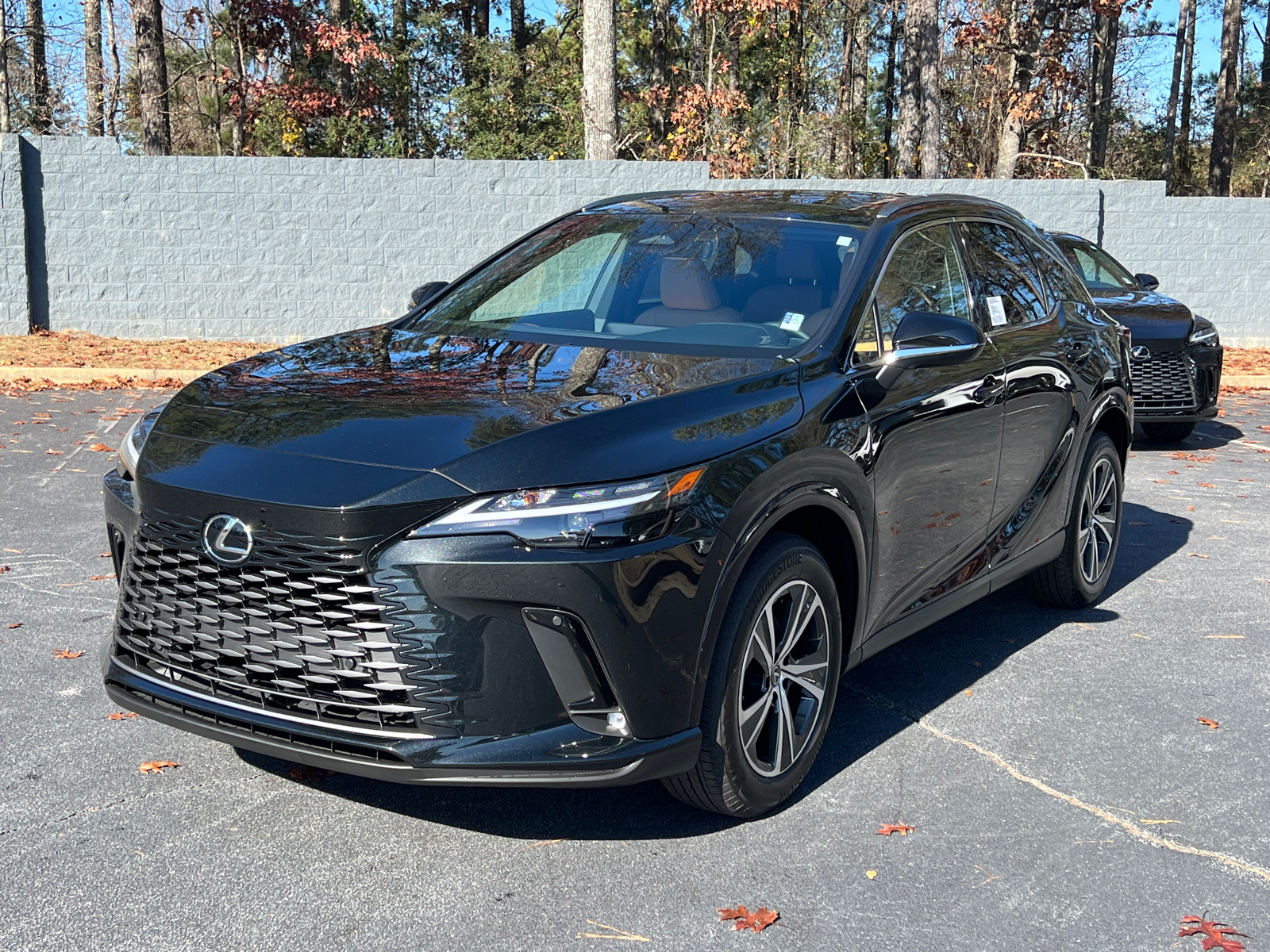 2025 Lexus RX RX 350 Premium 2