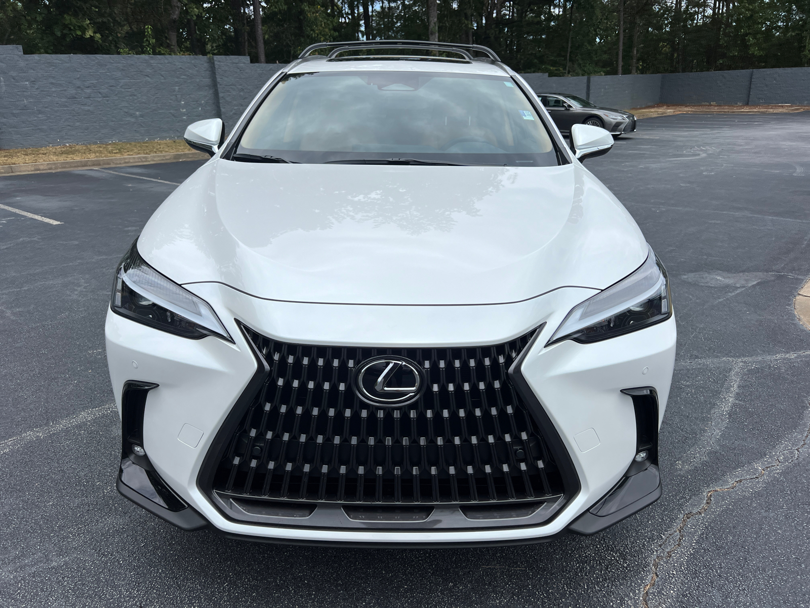 2025 Lexus NX NX 250 Premium 3