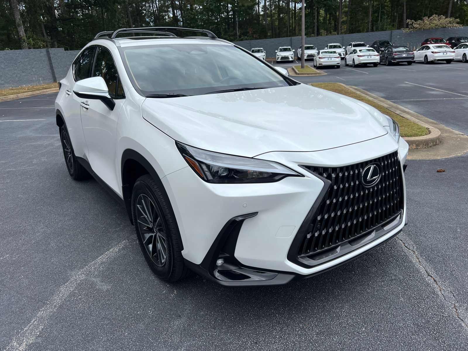 2025 Lexus NX NX 250 Premium 4