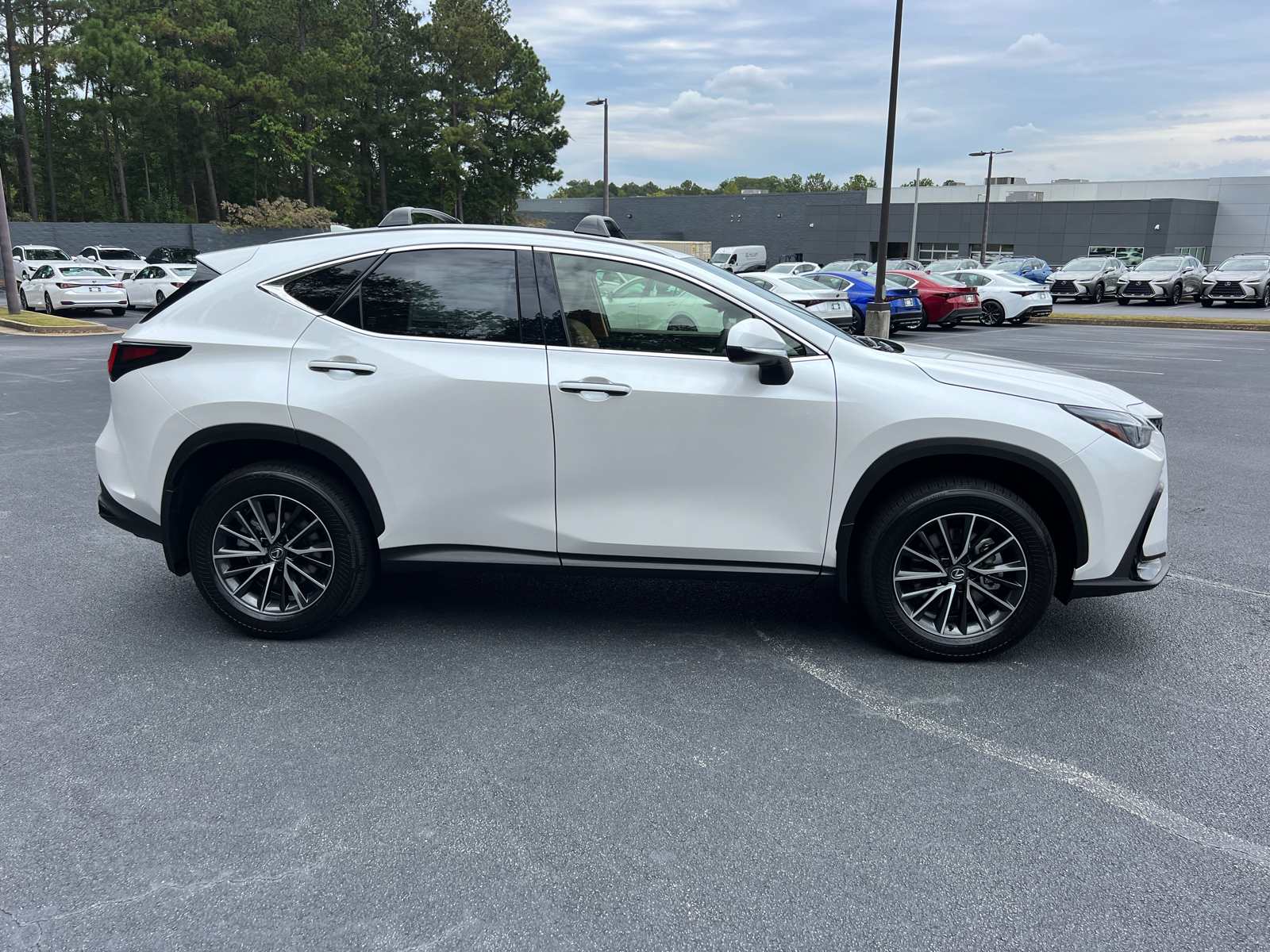 2025 Lexus NX NX 250 Premium 5