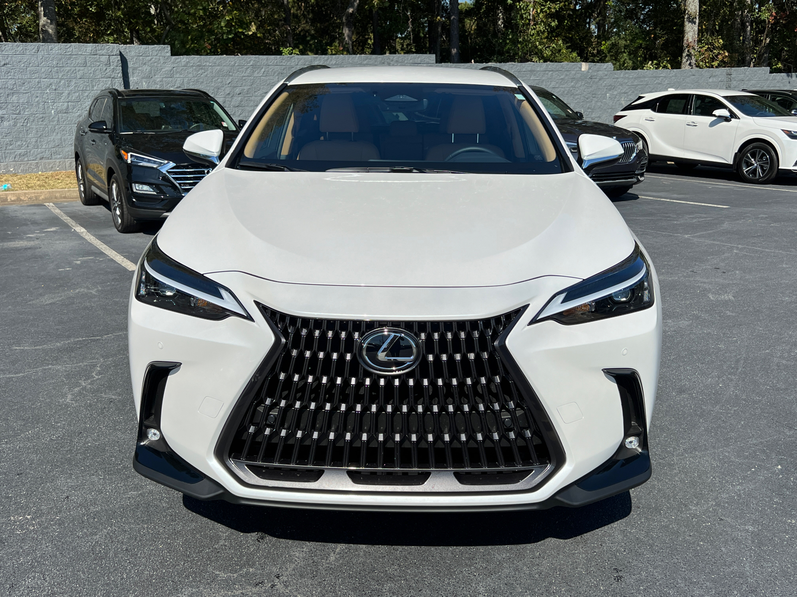 2025 Lexus NX NX 250 3