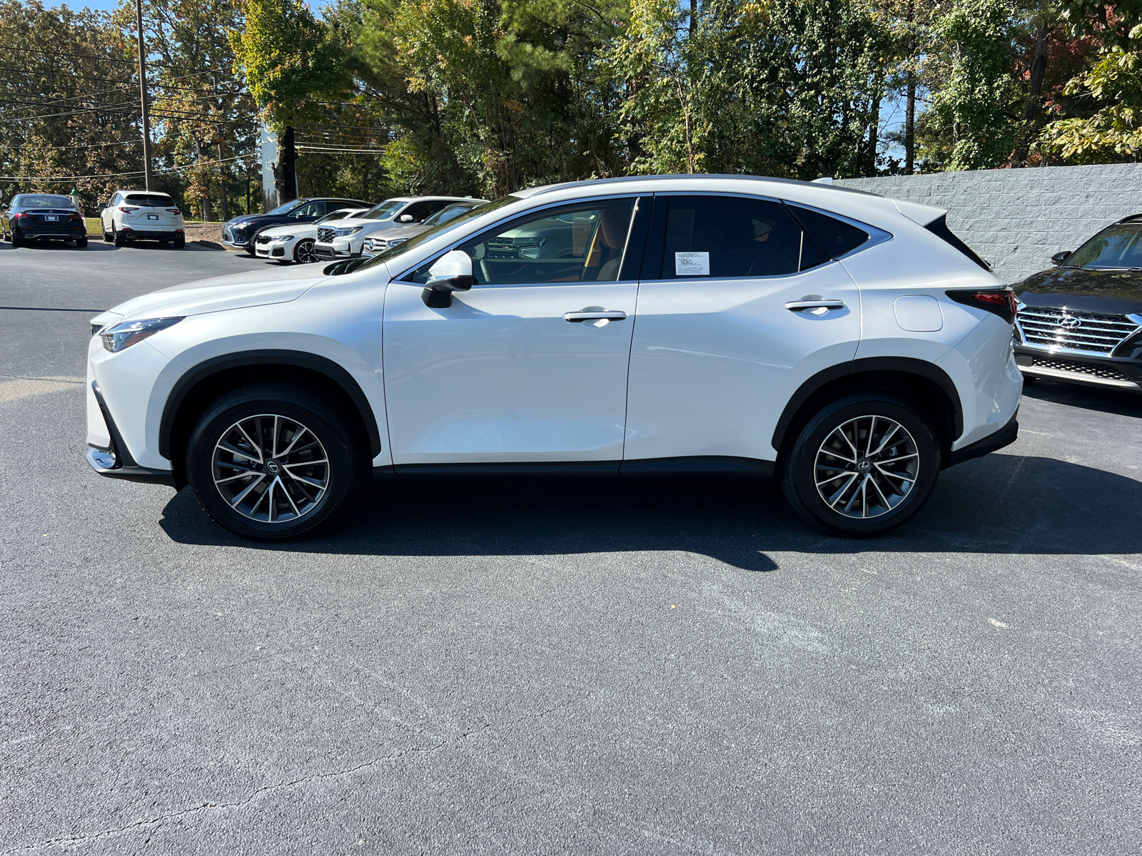 2025 Lexus NX NX 250 9