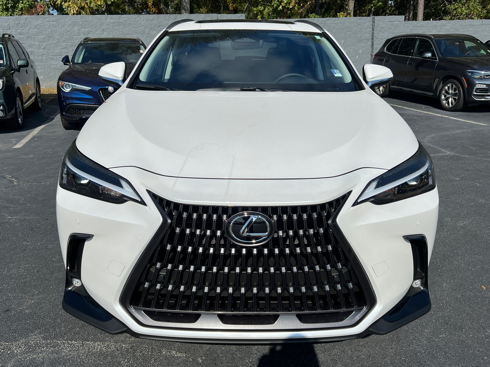 2025 Lexus NX NX 350h 3