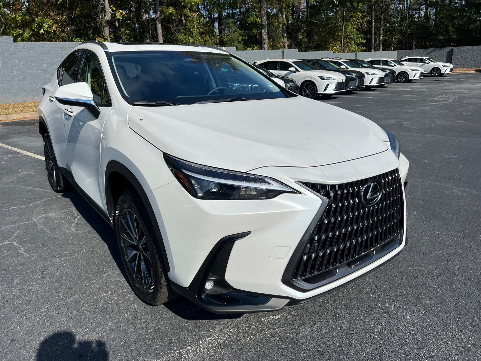 2025 Lexus NX NX 350h 4