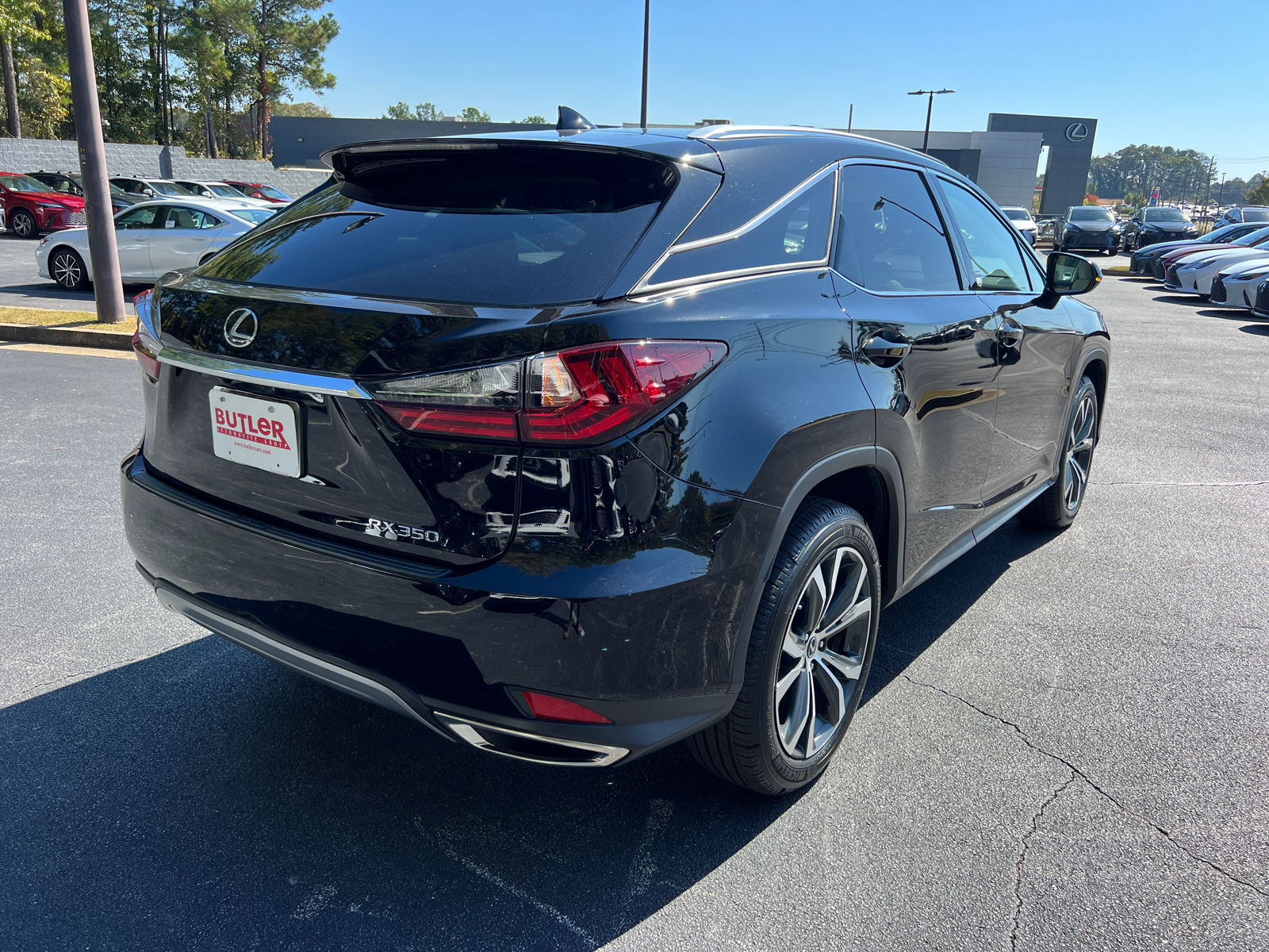 2021 Lexus RX RX 350 6