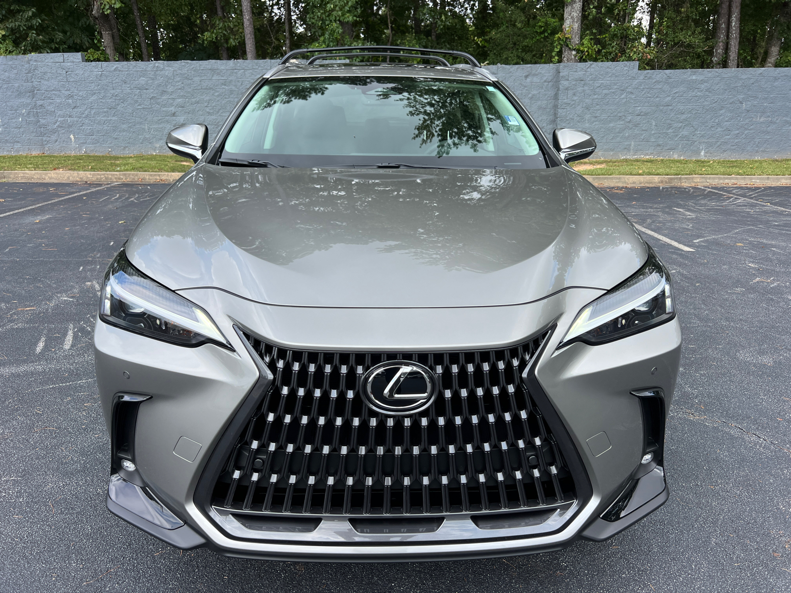 2025 Lexus NX NX 250 3