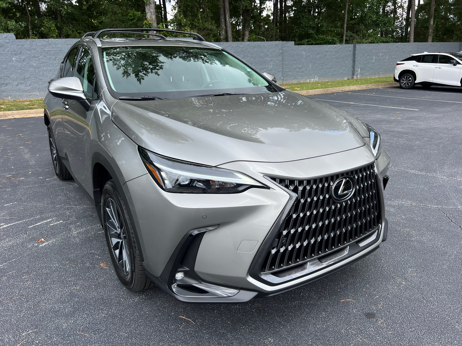 2025 Lexus NX NX 250 4