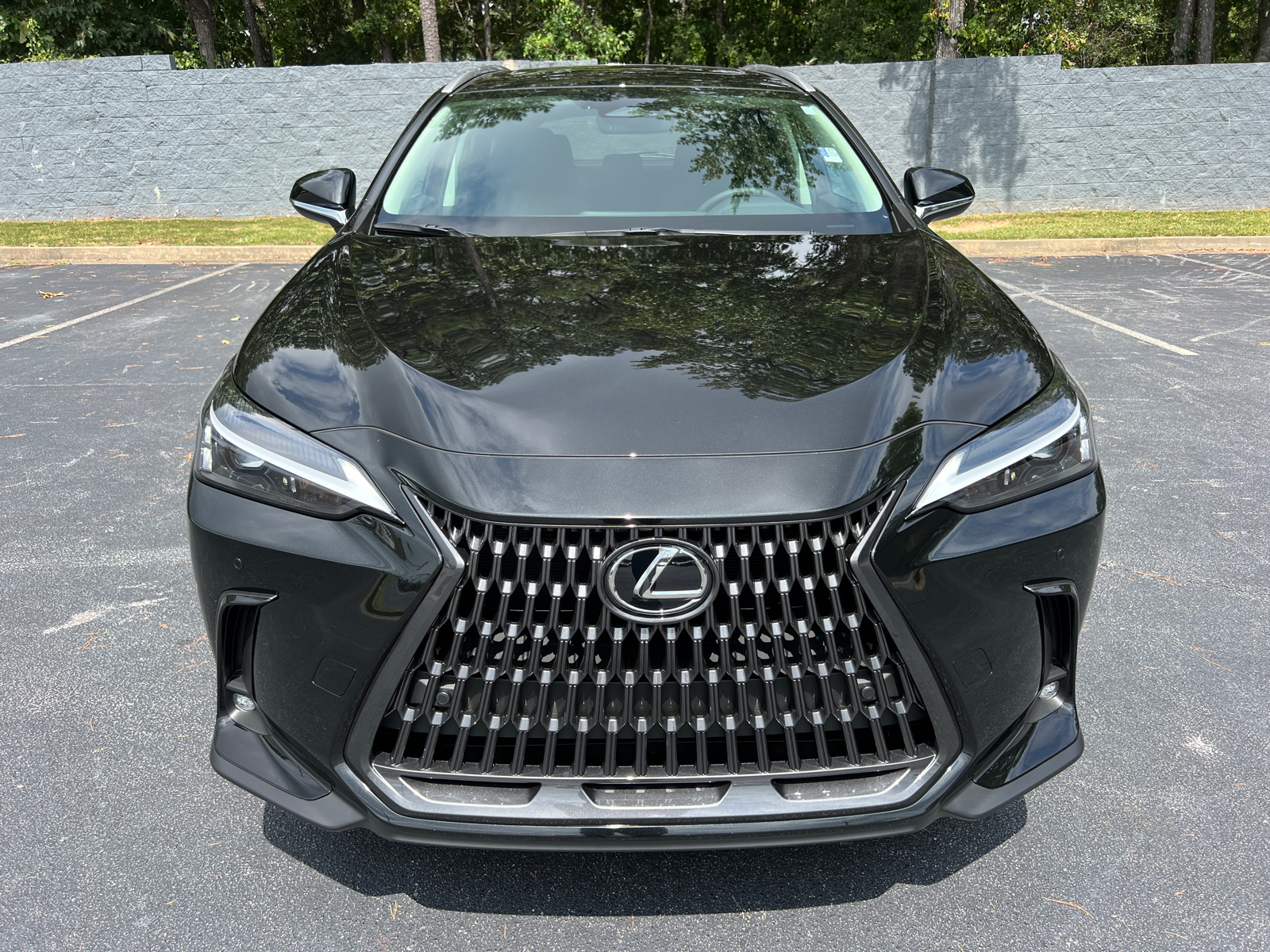 2025 Lexus NX 250 Base 3