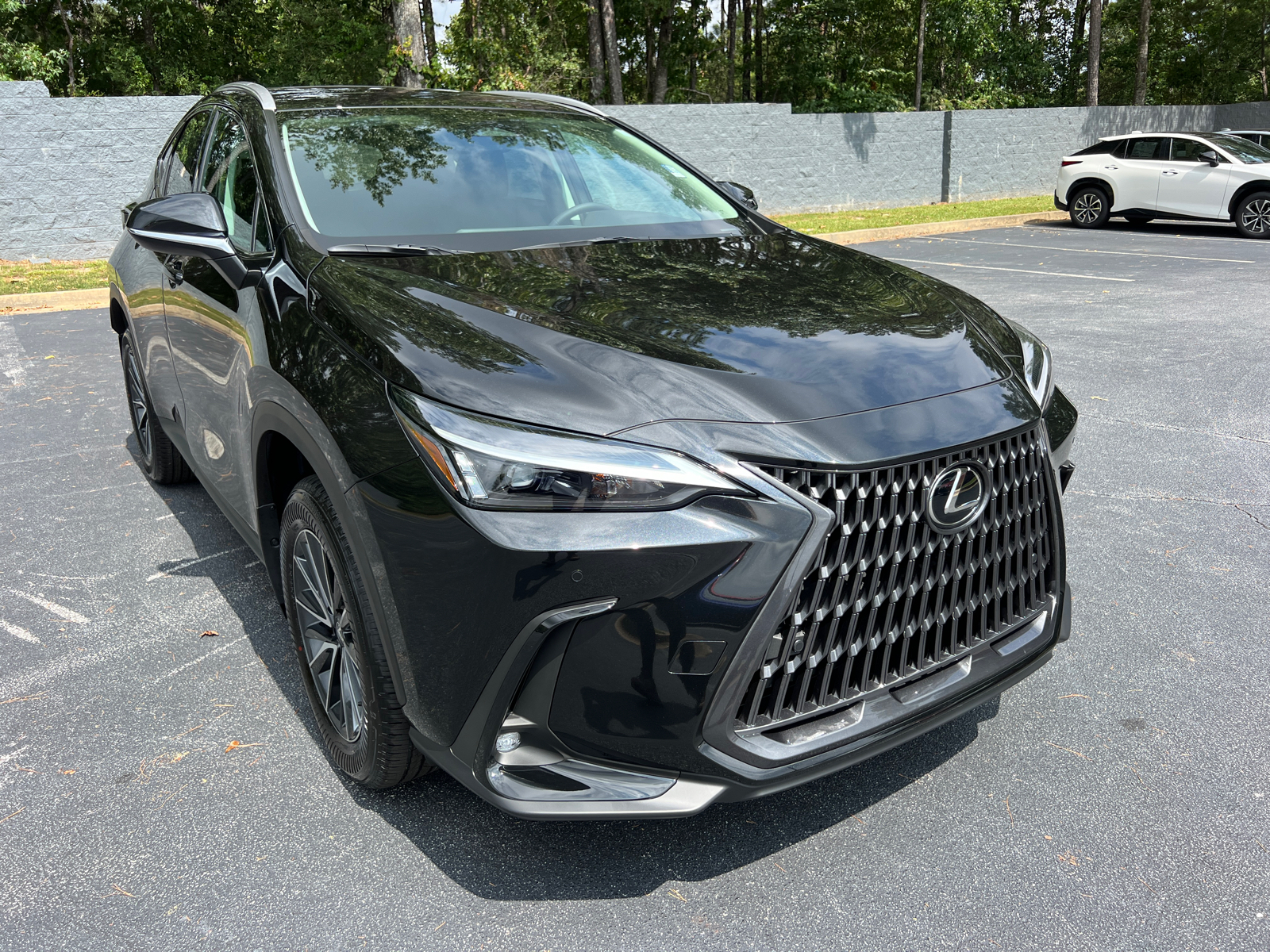 2025 Lexus NX 250 Base 4