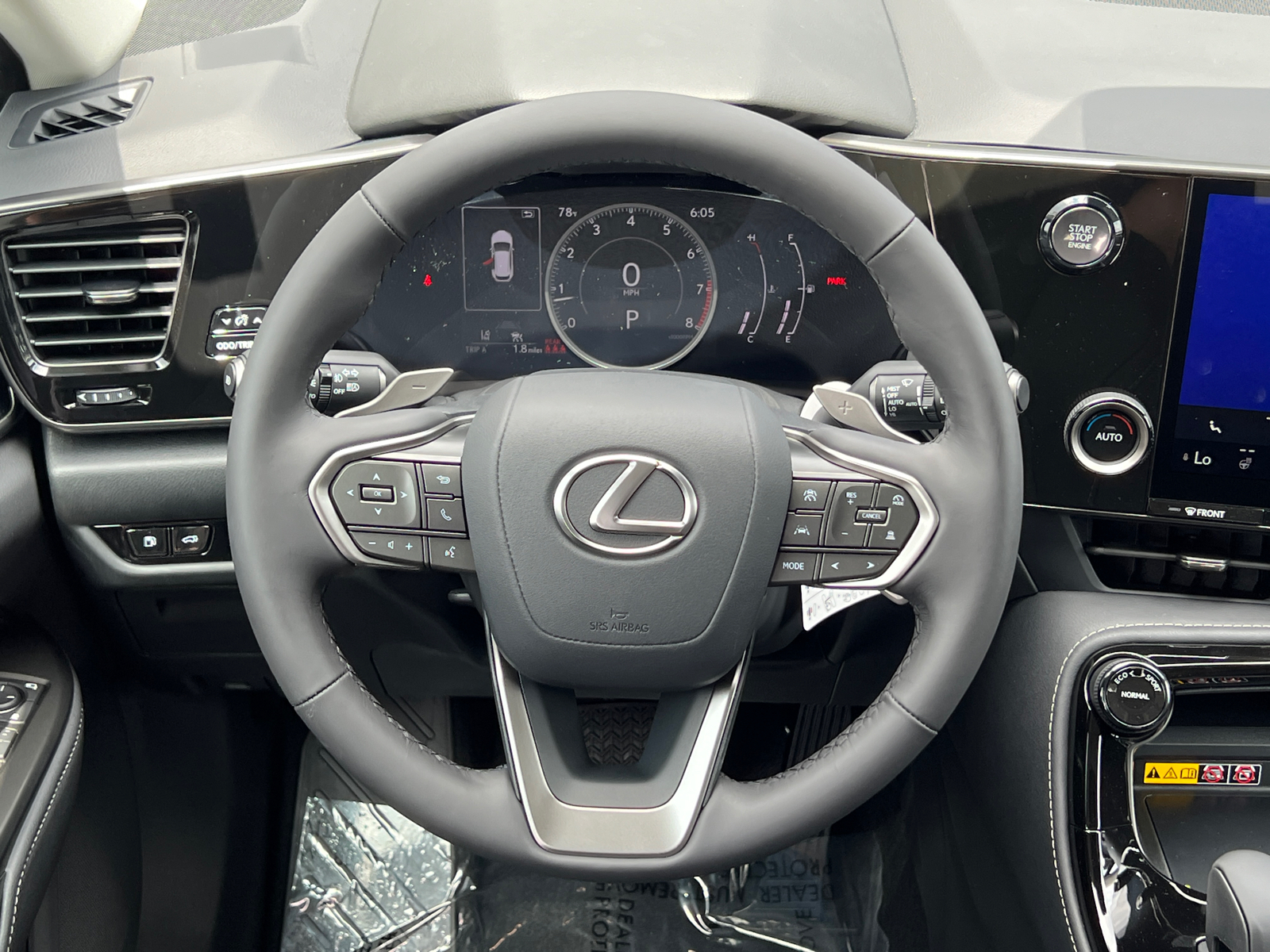 2025 Lexus NX 250 Base 18