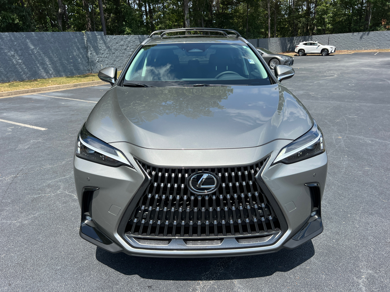 2025 Lexus NX NX 250 Premium 3