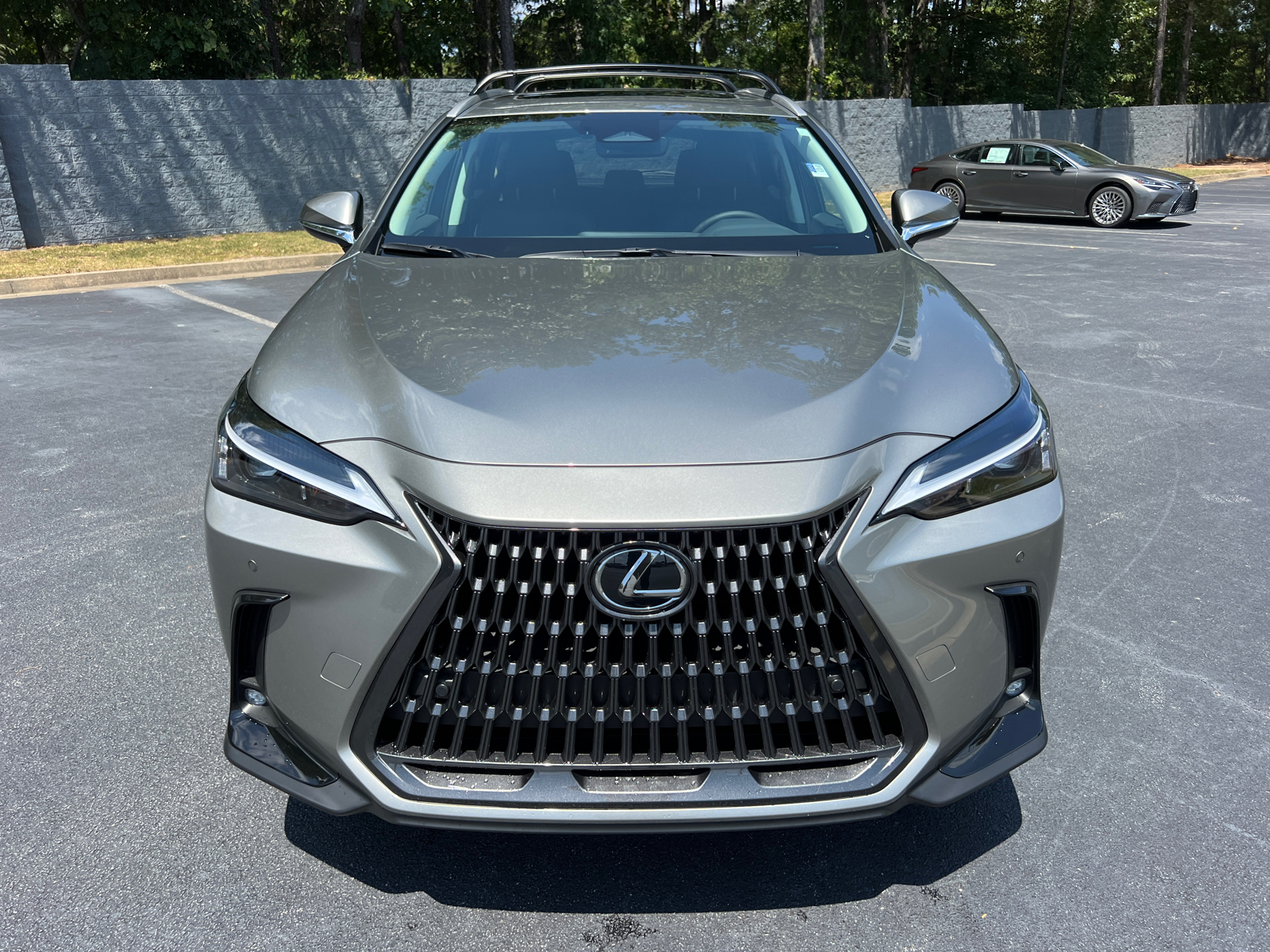 2025 Lexus NX NX 250 Premium 3