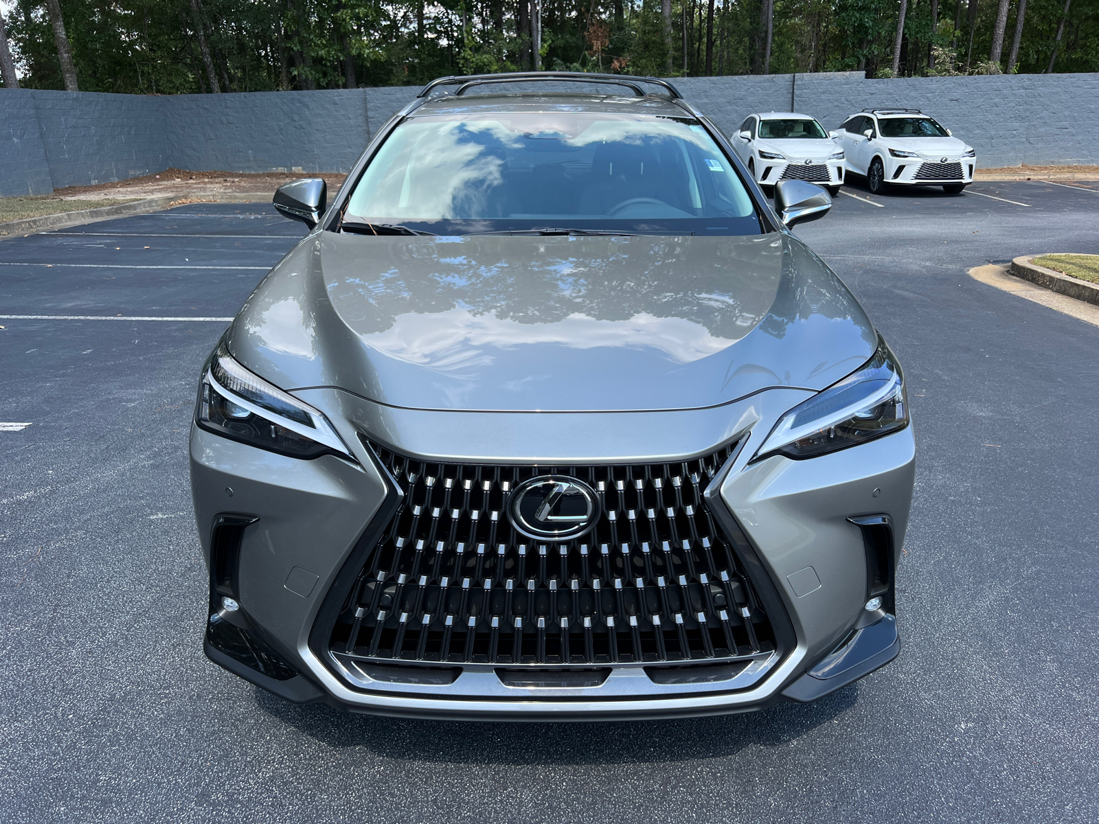 2025 Lexus NX NX 250 3