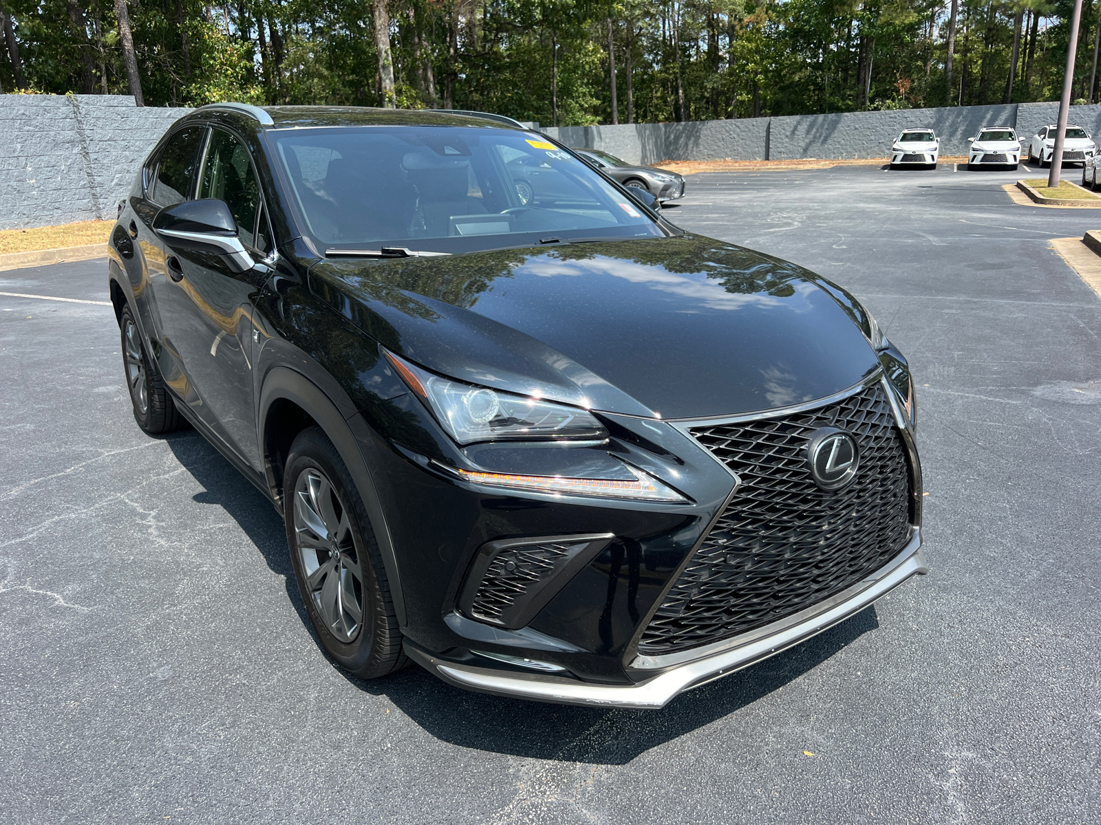 2020 Lexus NX NX 300 F SPORT 4