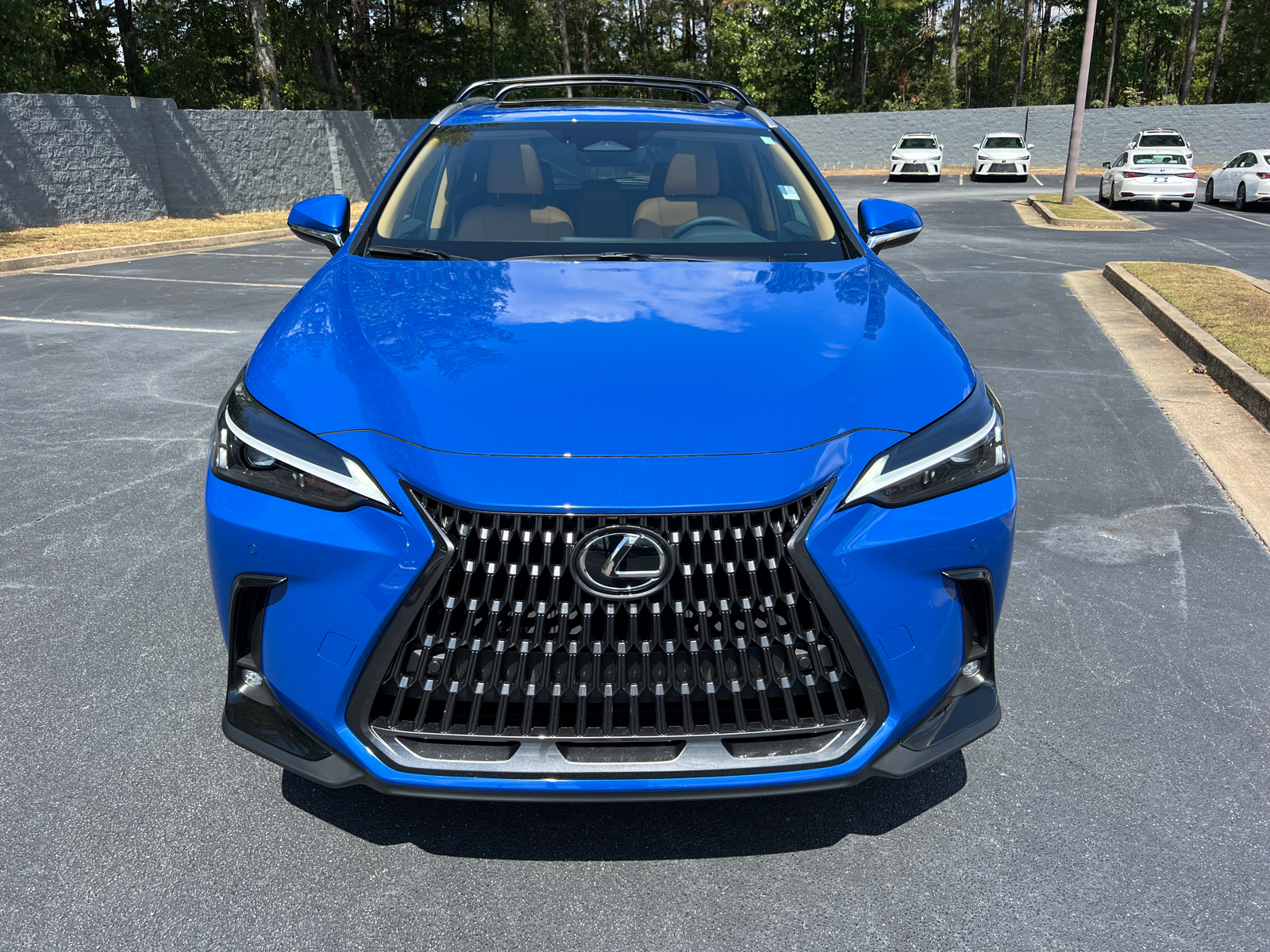 2025 Lexus NX NX 250 Premium 3