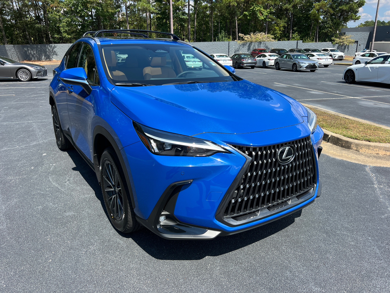 2025 Lexus NX NX 250 Premium 4