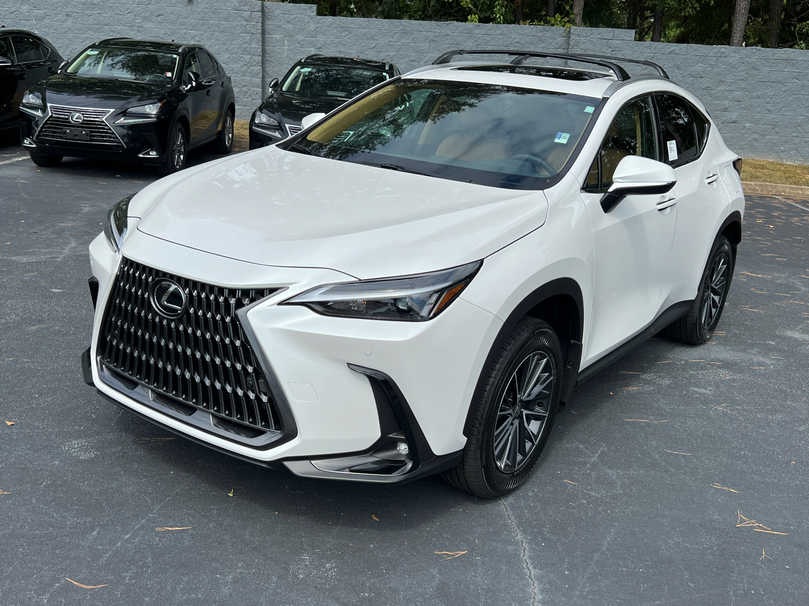 2025 Lexus NX NX 250 2