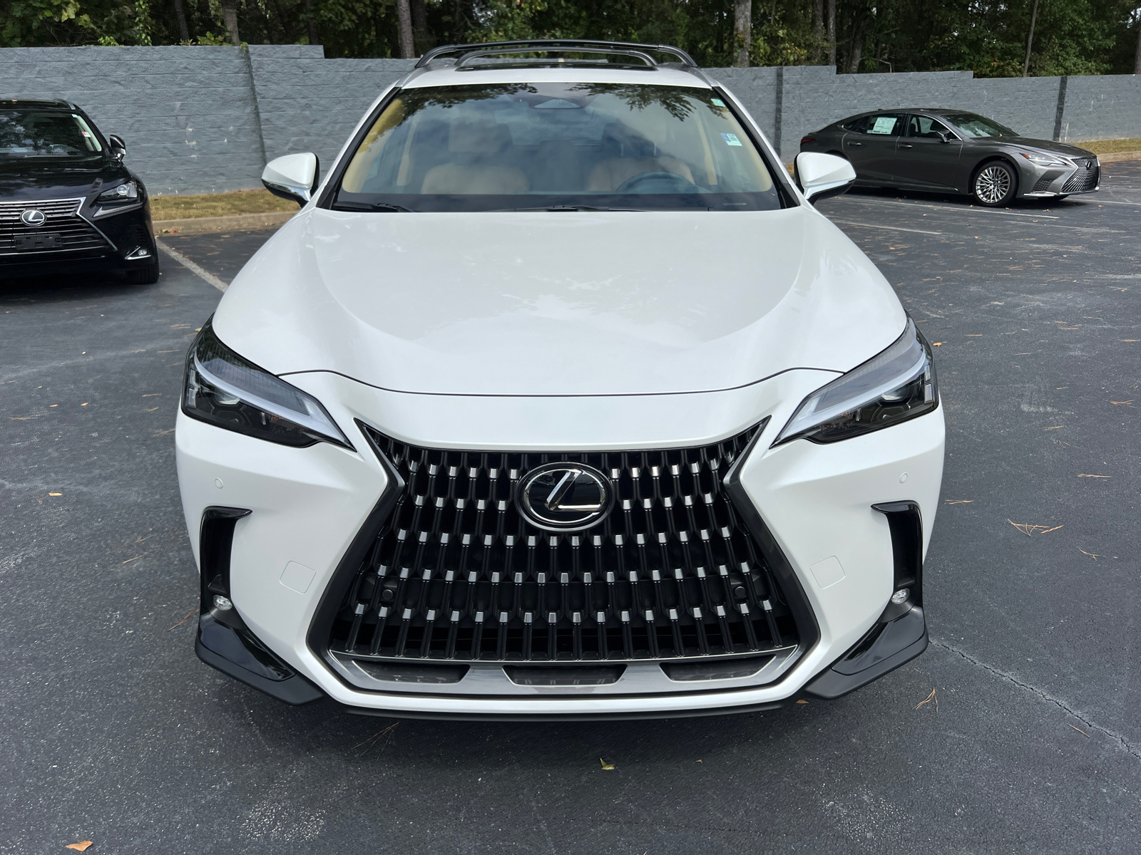 2025 Lexus NX NX 250 3