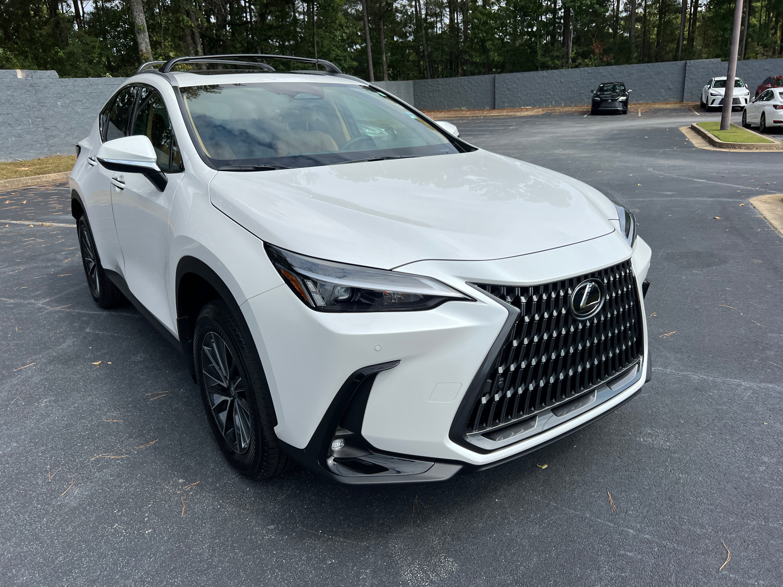 2025 Lexus NX NX 250 4