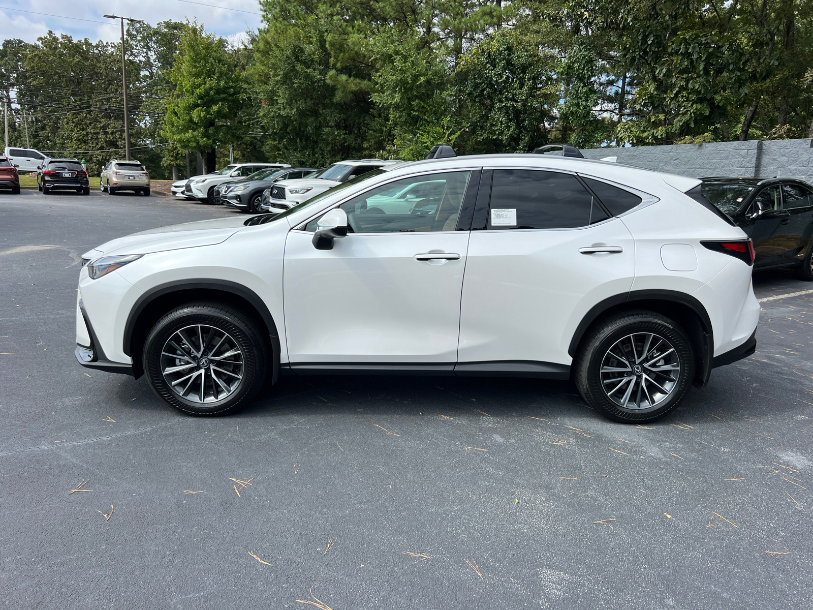 2025 Lexus NX NX 250 9