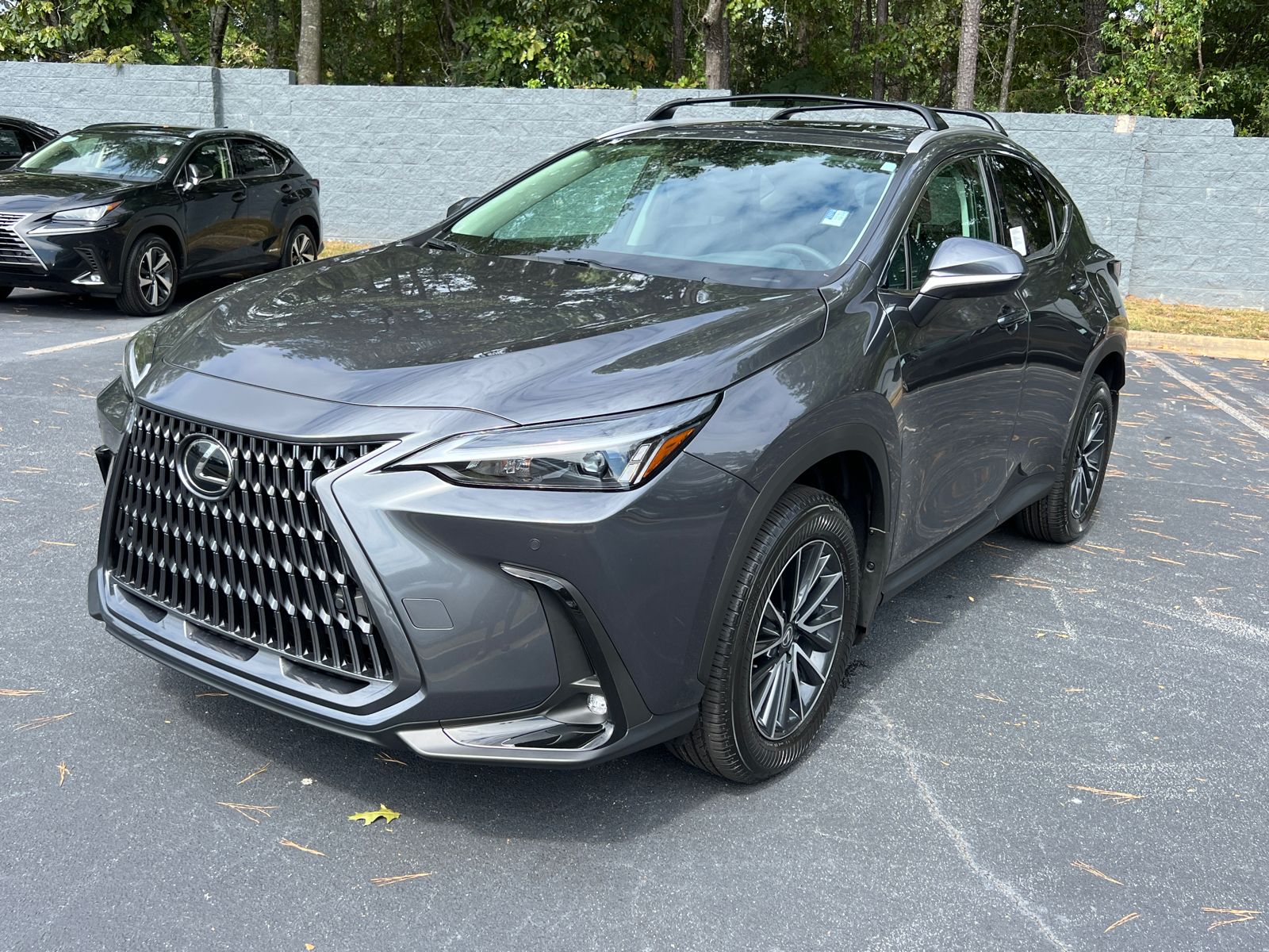 2025 Lexus NX NX 250 2