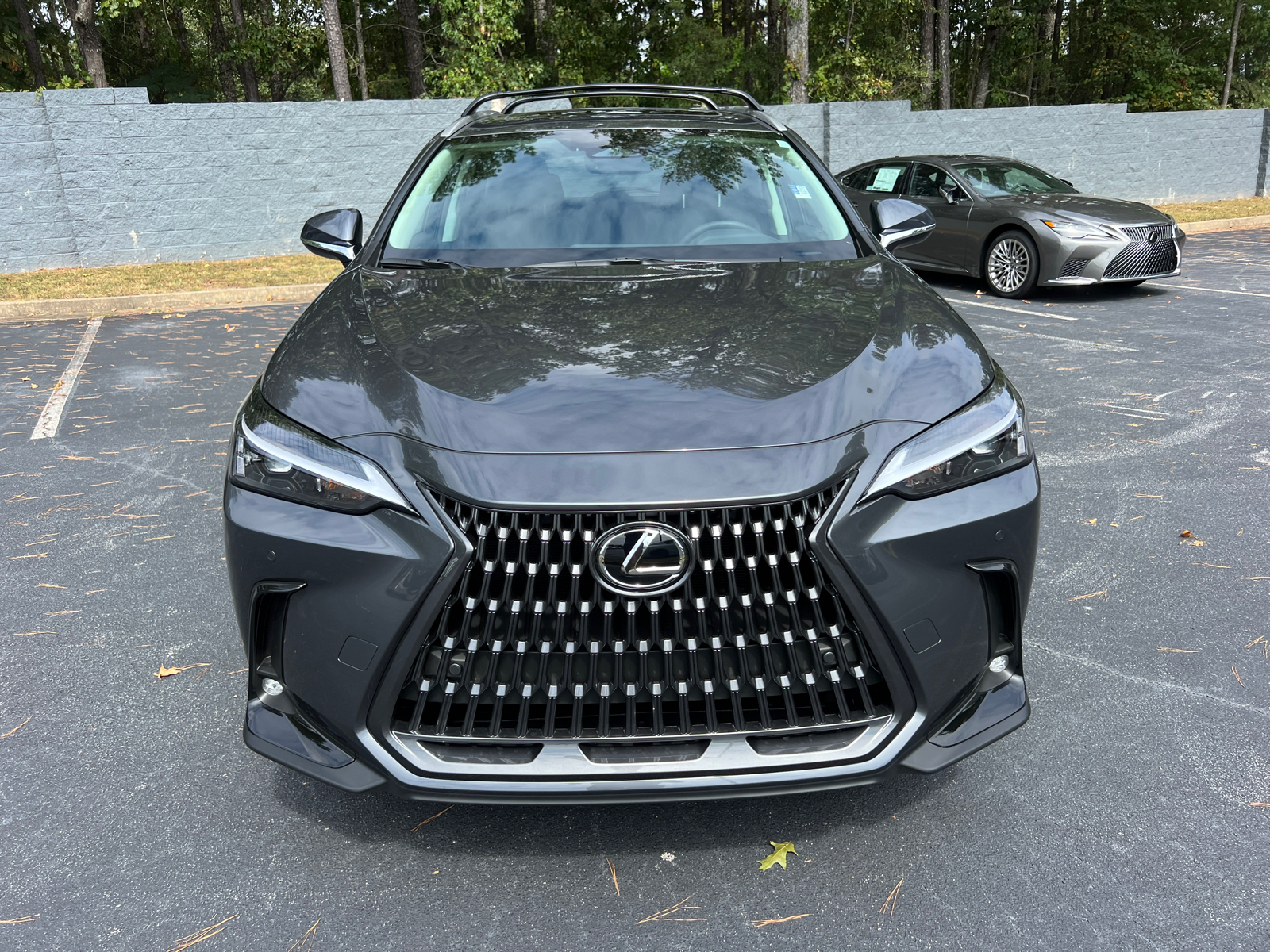 2025 Lexus NX NX 250 3