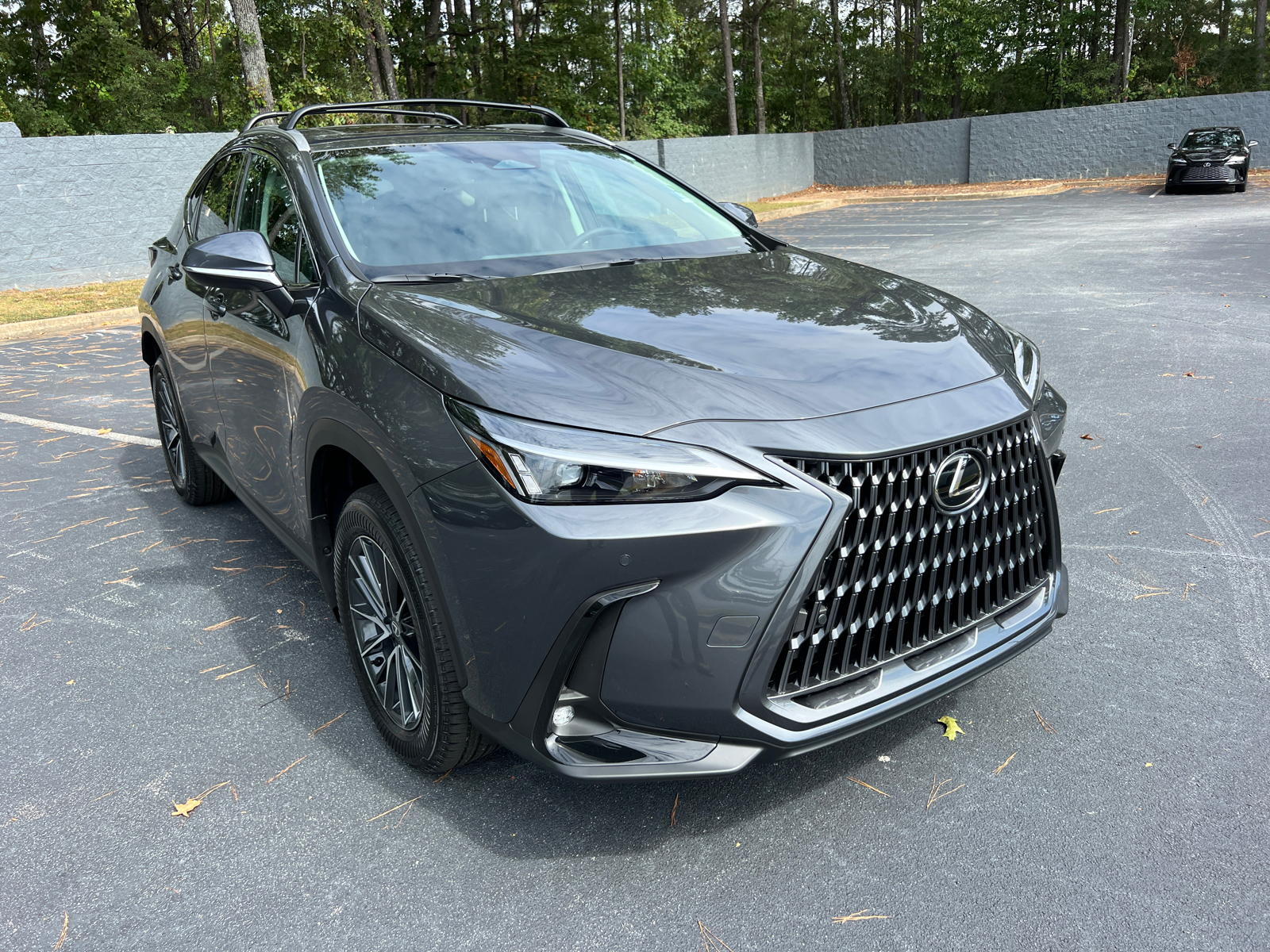 2025 Lexus NX NX 250 4