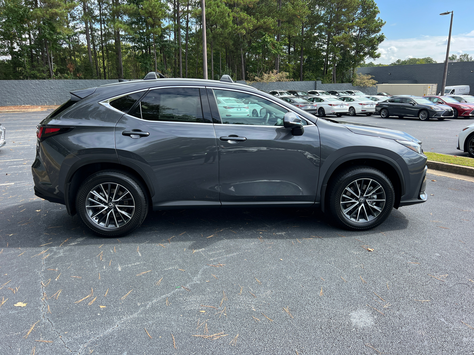 2025 Lexus NX NX 250 5