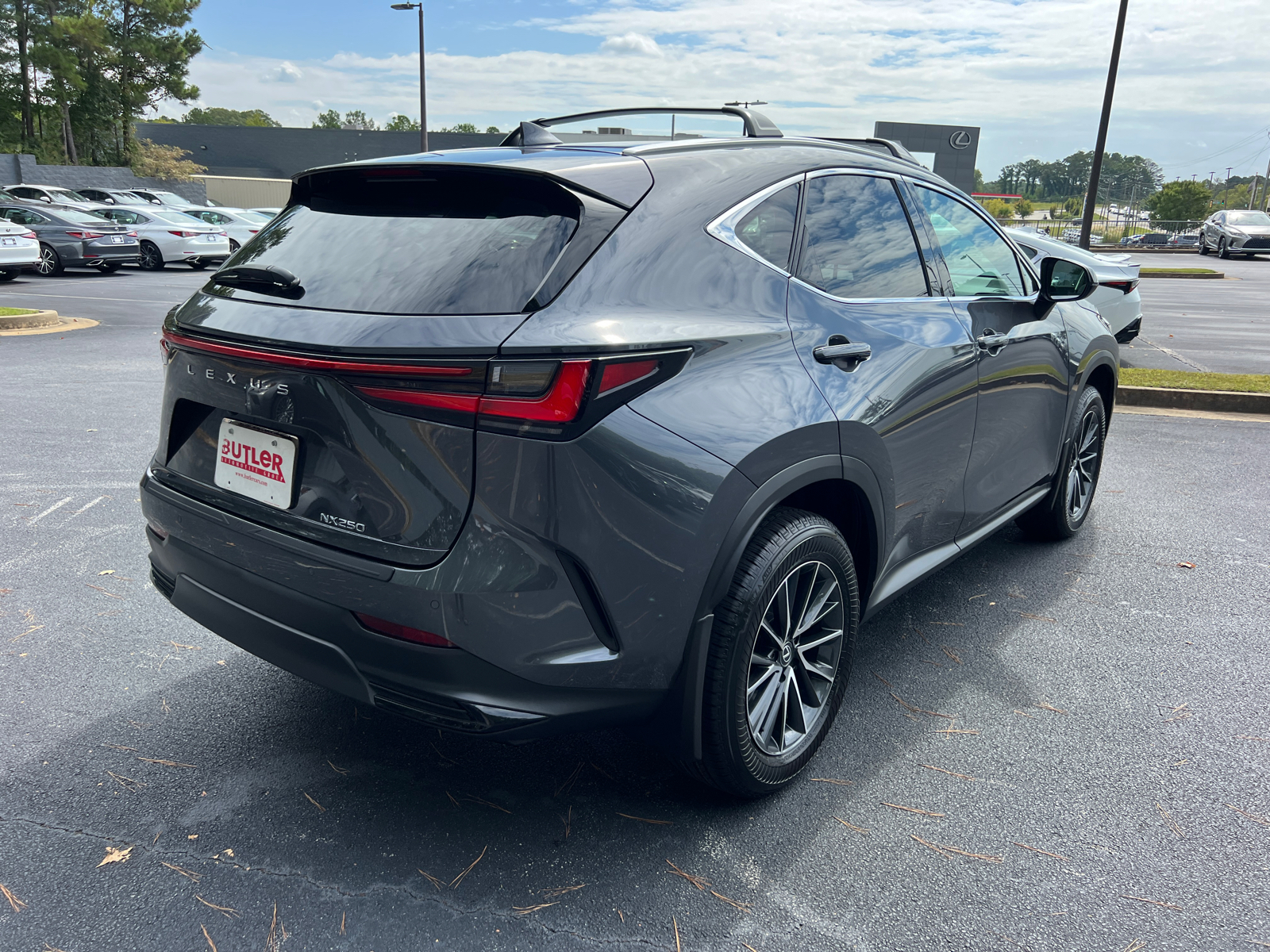 2025 Lexus NX NX 250 6