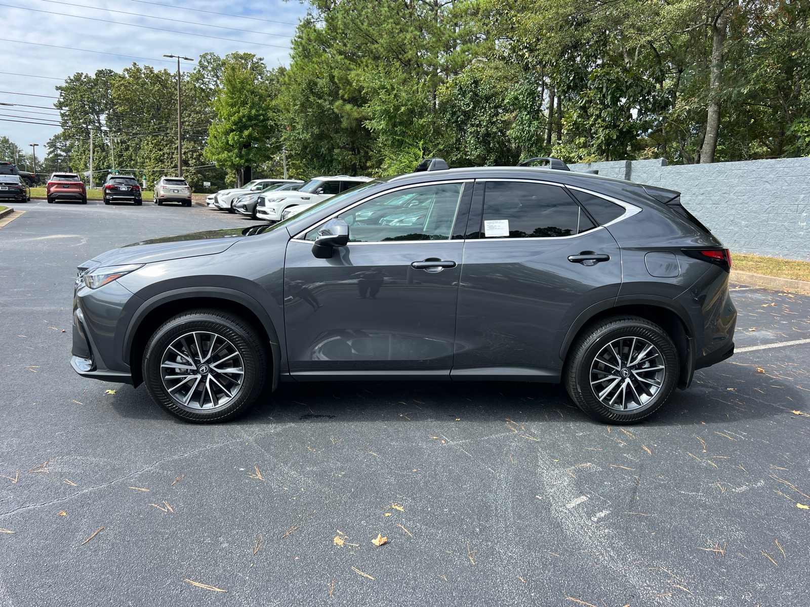 2025 Lexus NX NX 250 9