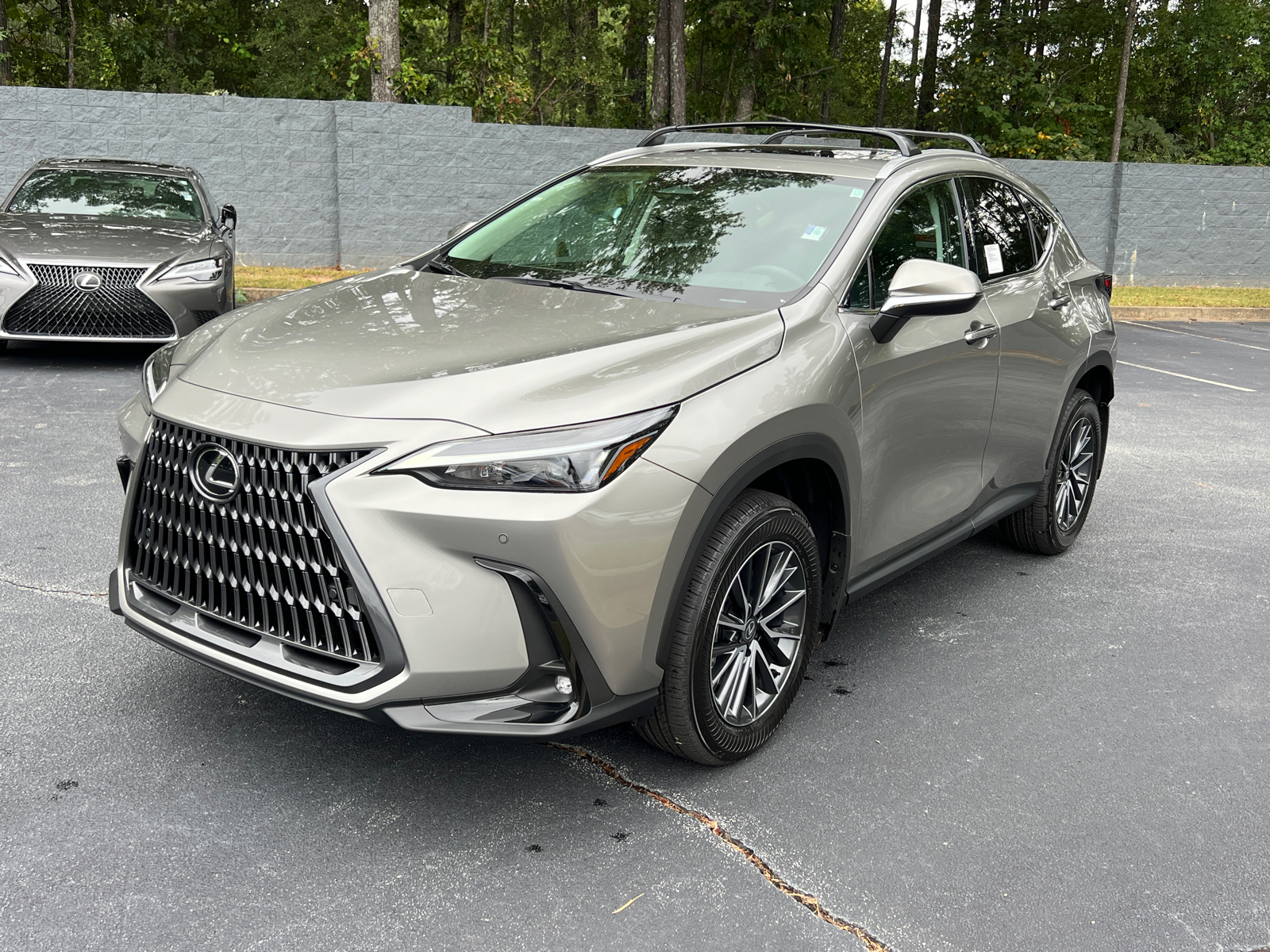 2025 Lexus NX NX 250 2